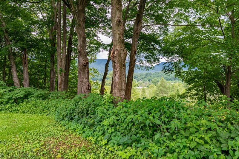 property viewer photo 35