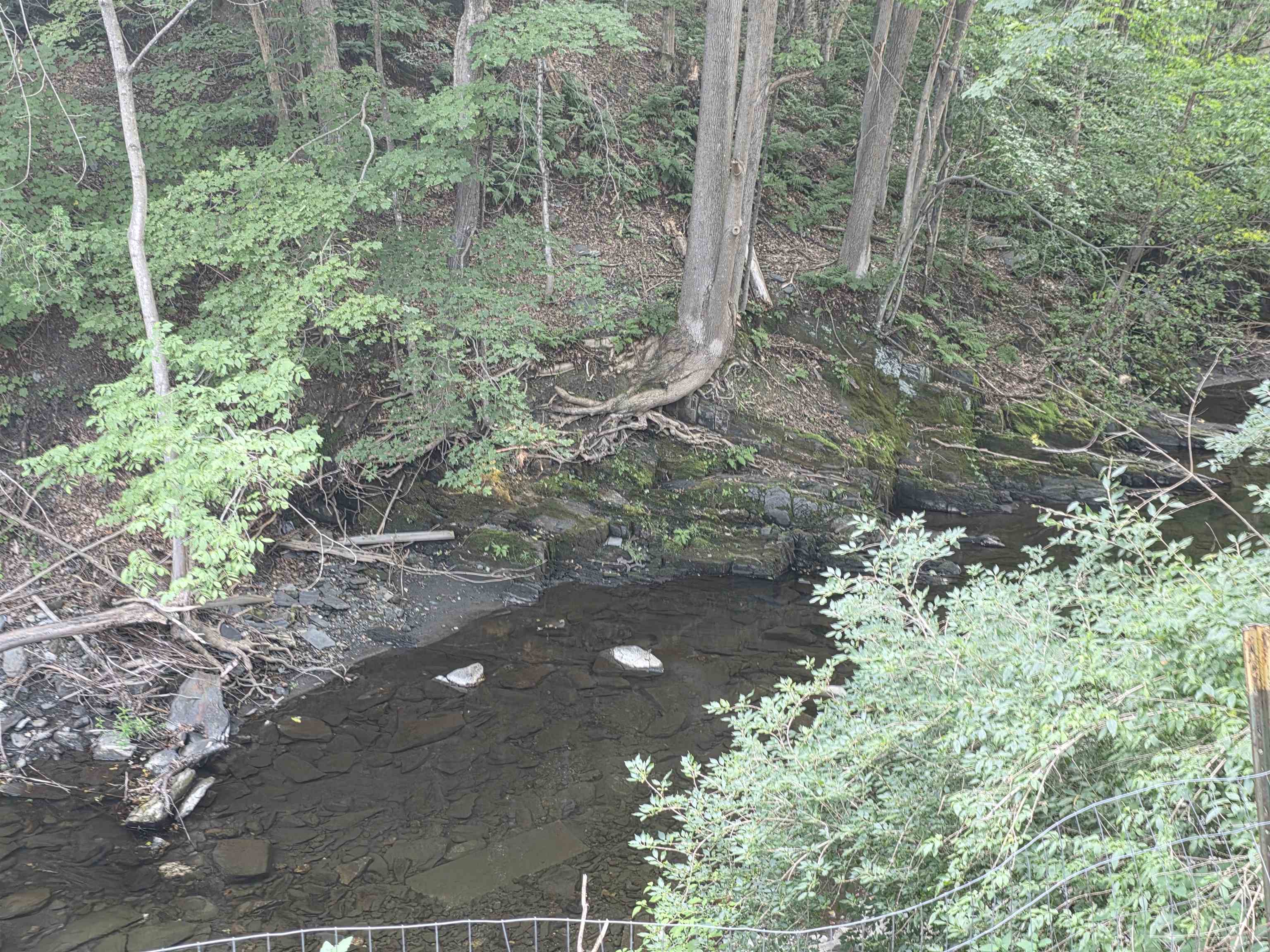 main property photo 46