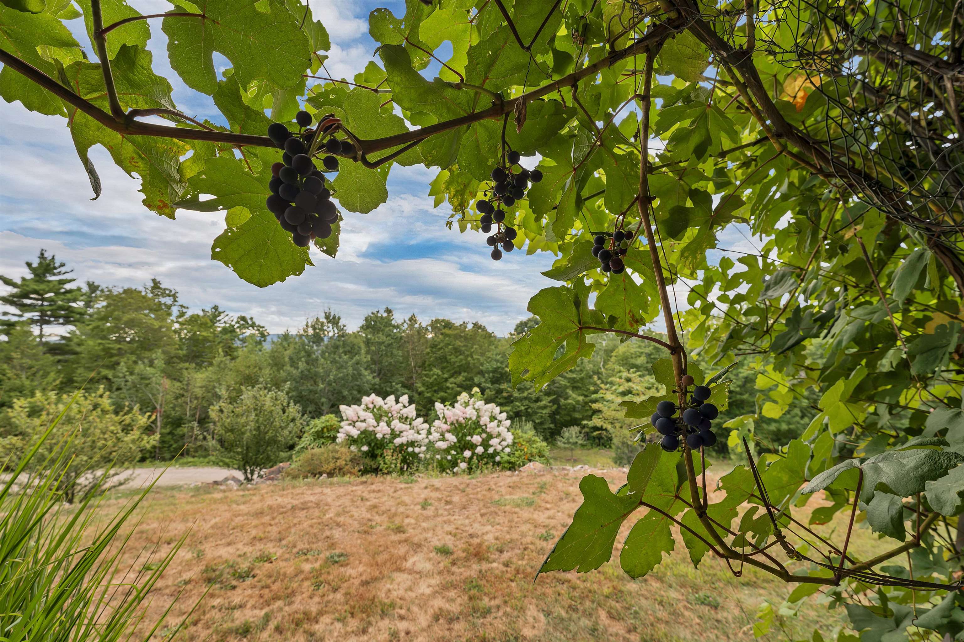 main property photo 59