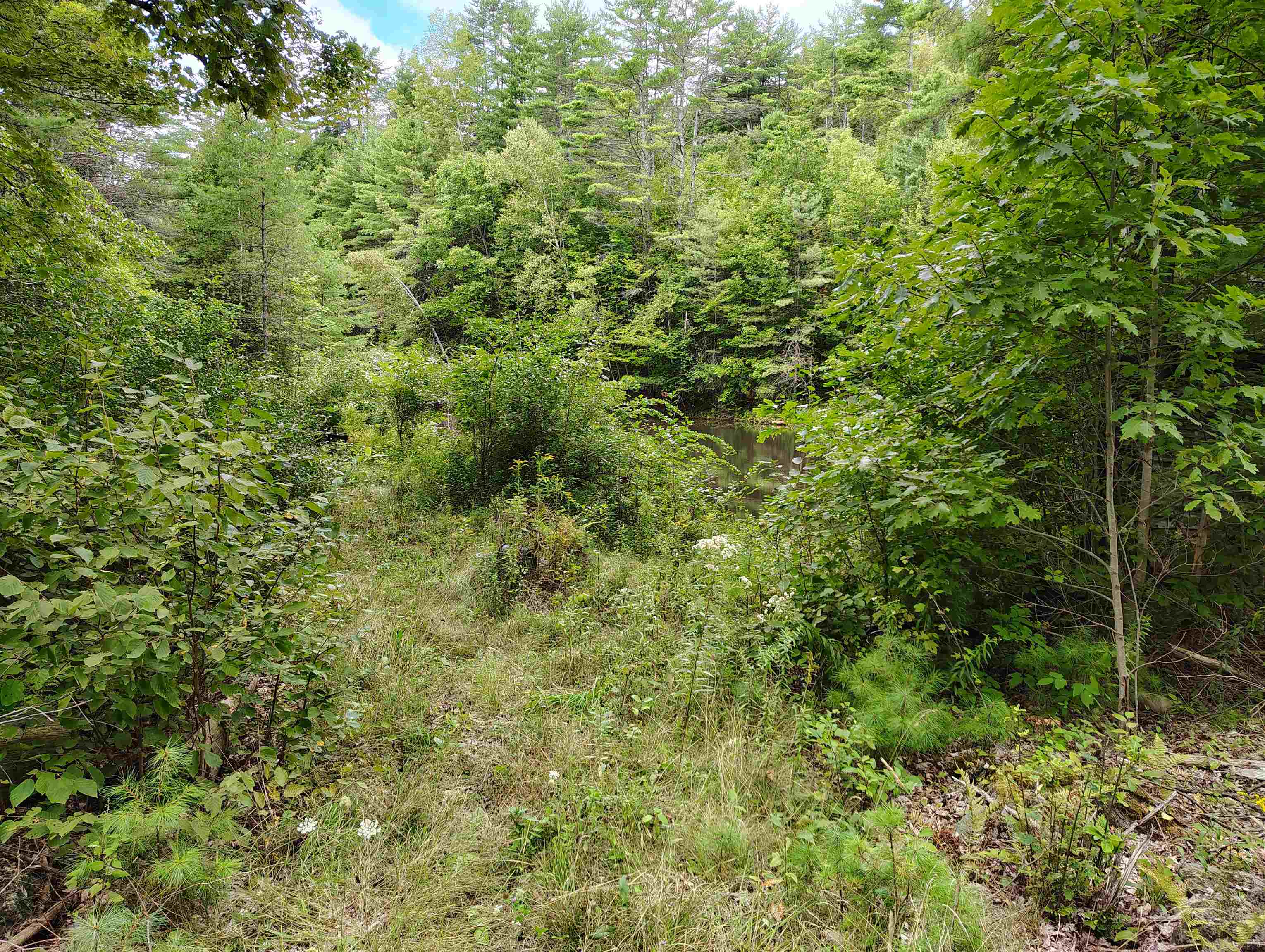 property viewer photo 10