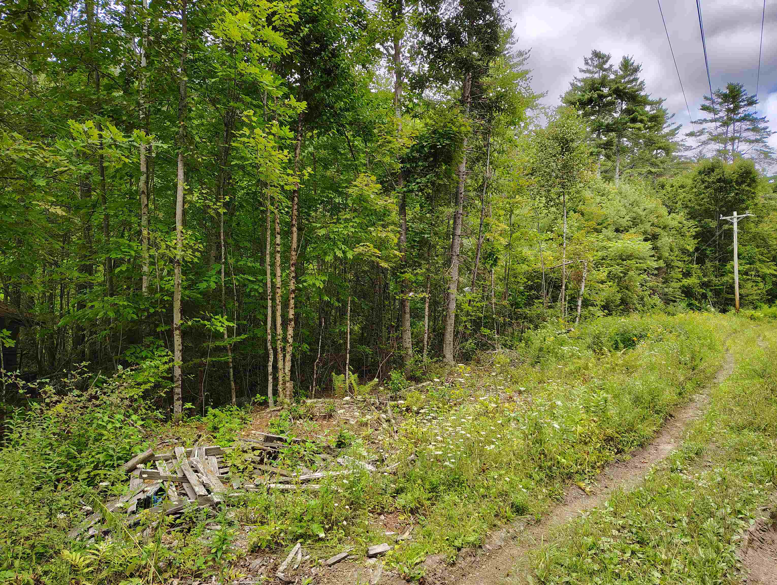 property viewer photo 11