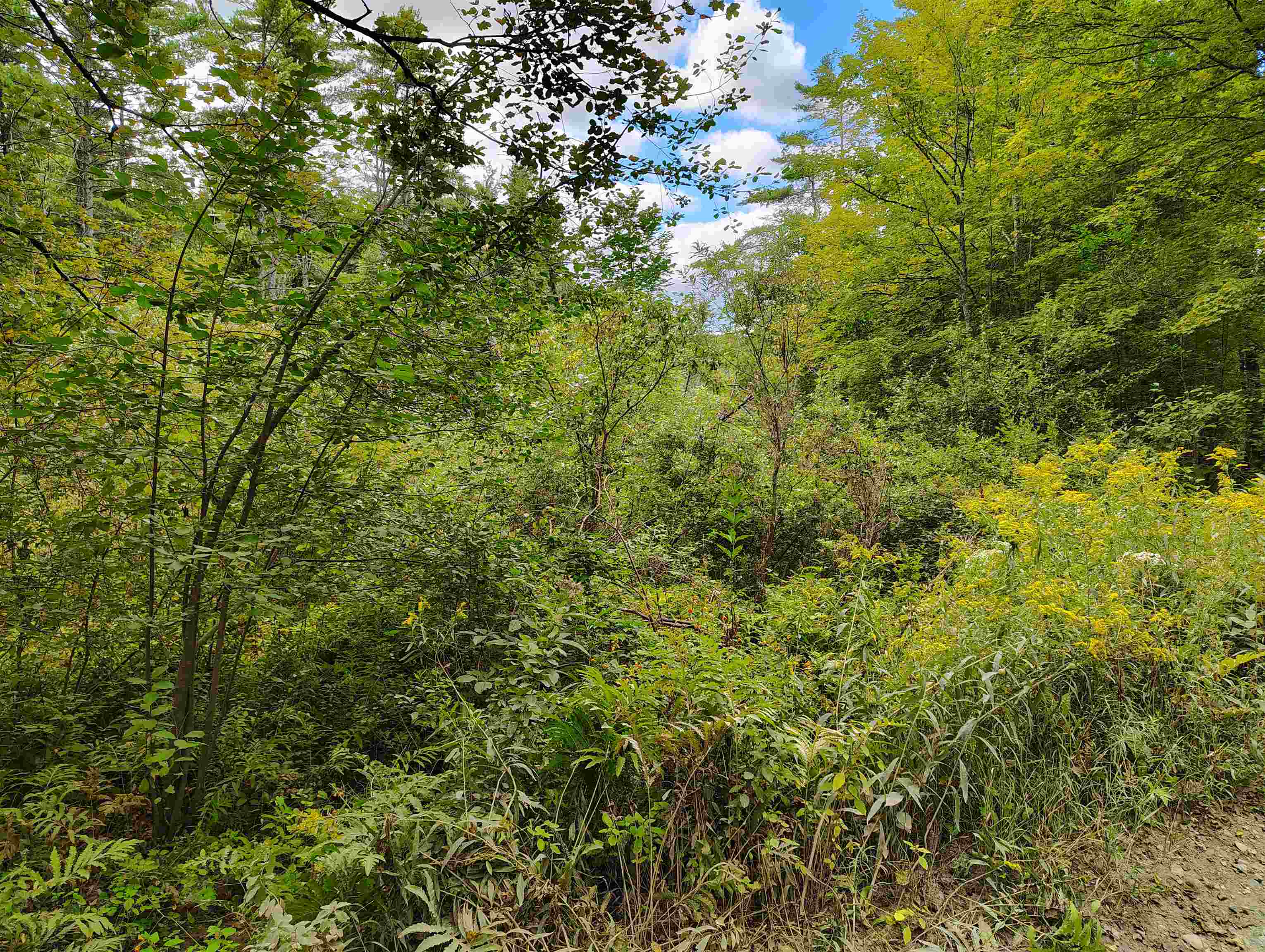 property viewer photo 3