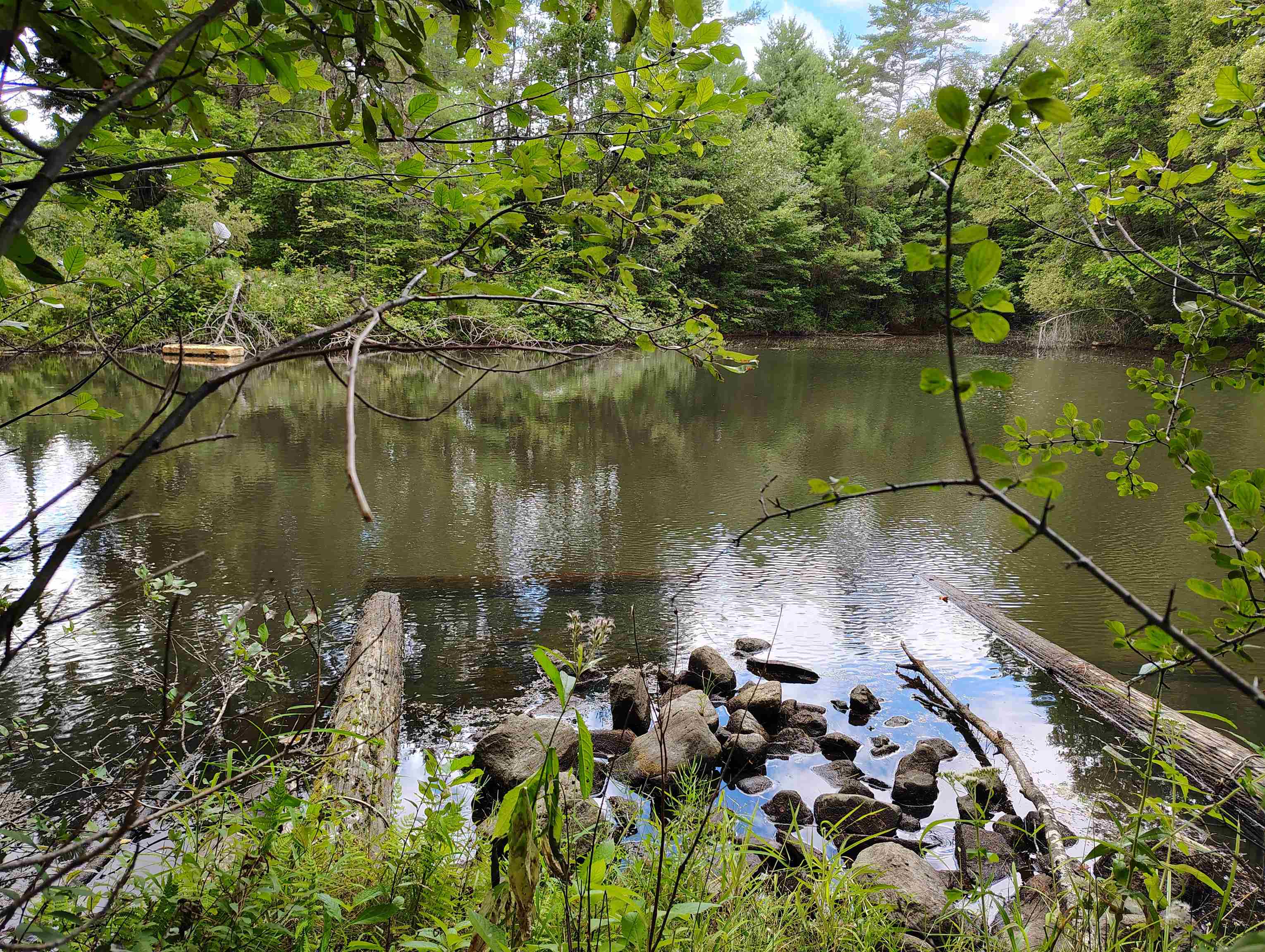 property viewer photo 5