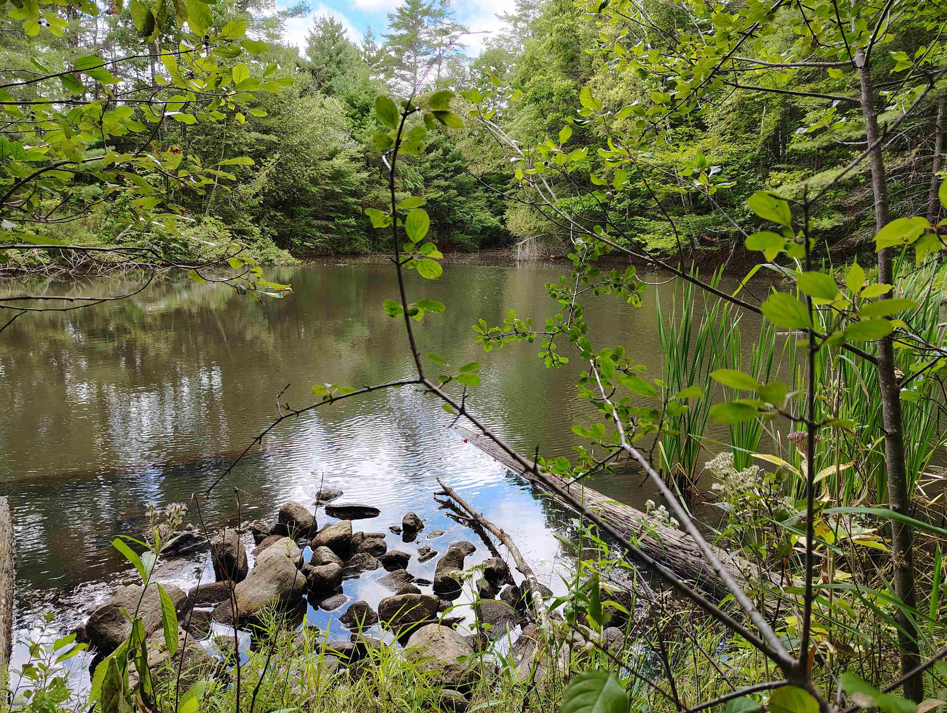 property viewer photo 6