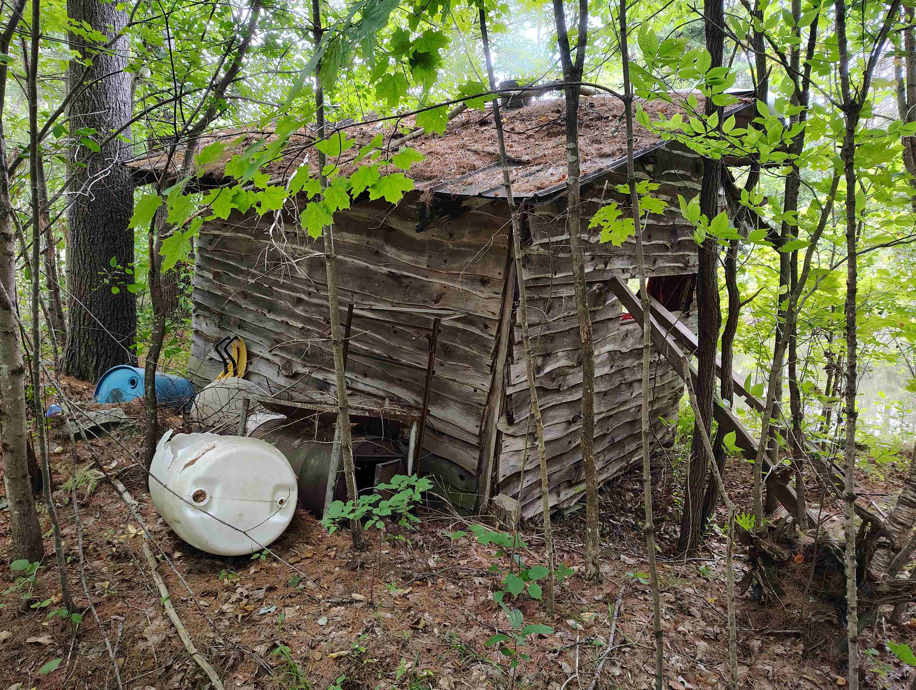 property viewer photo 7