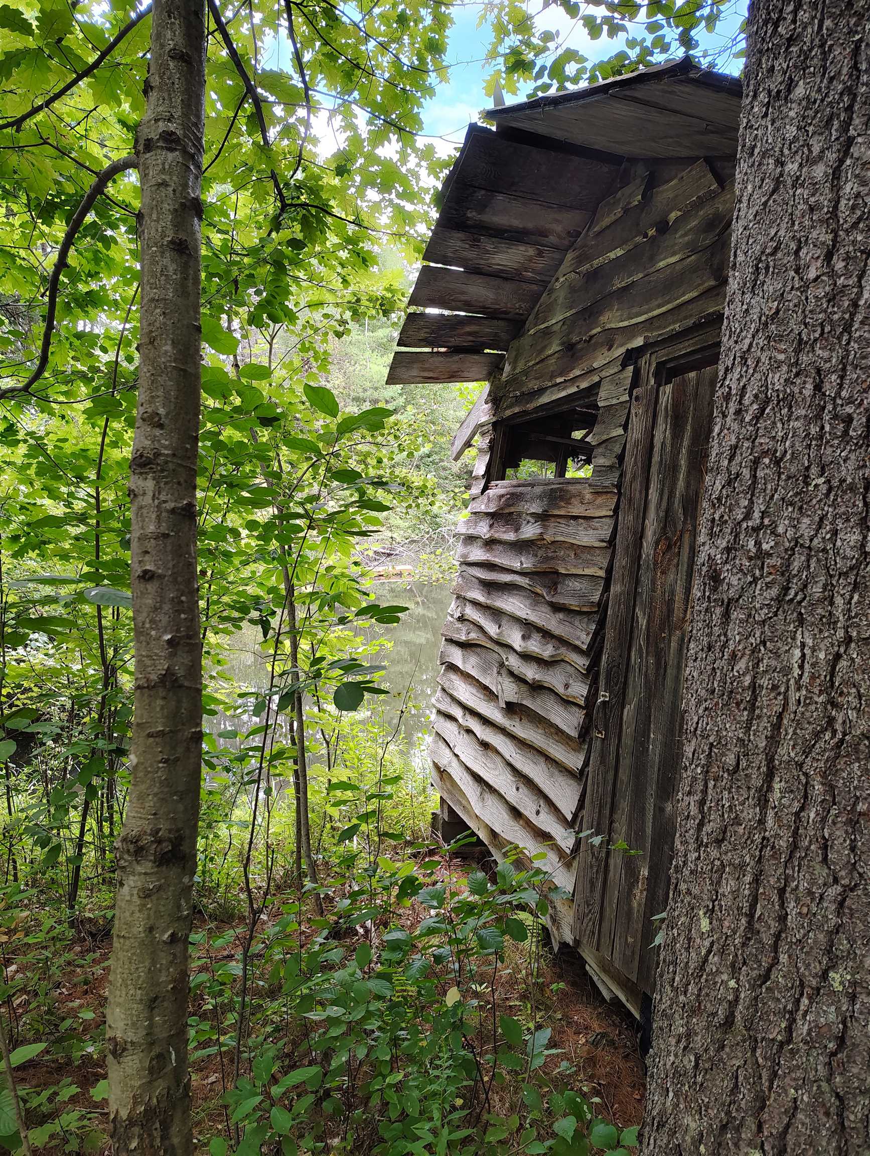 property viewer photo 8