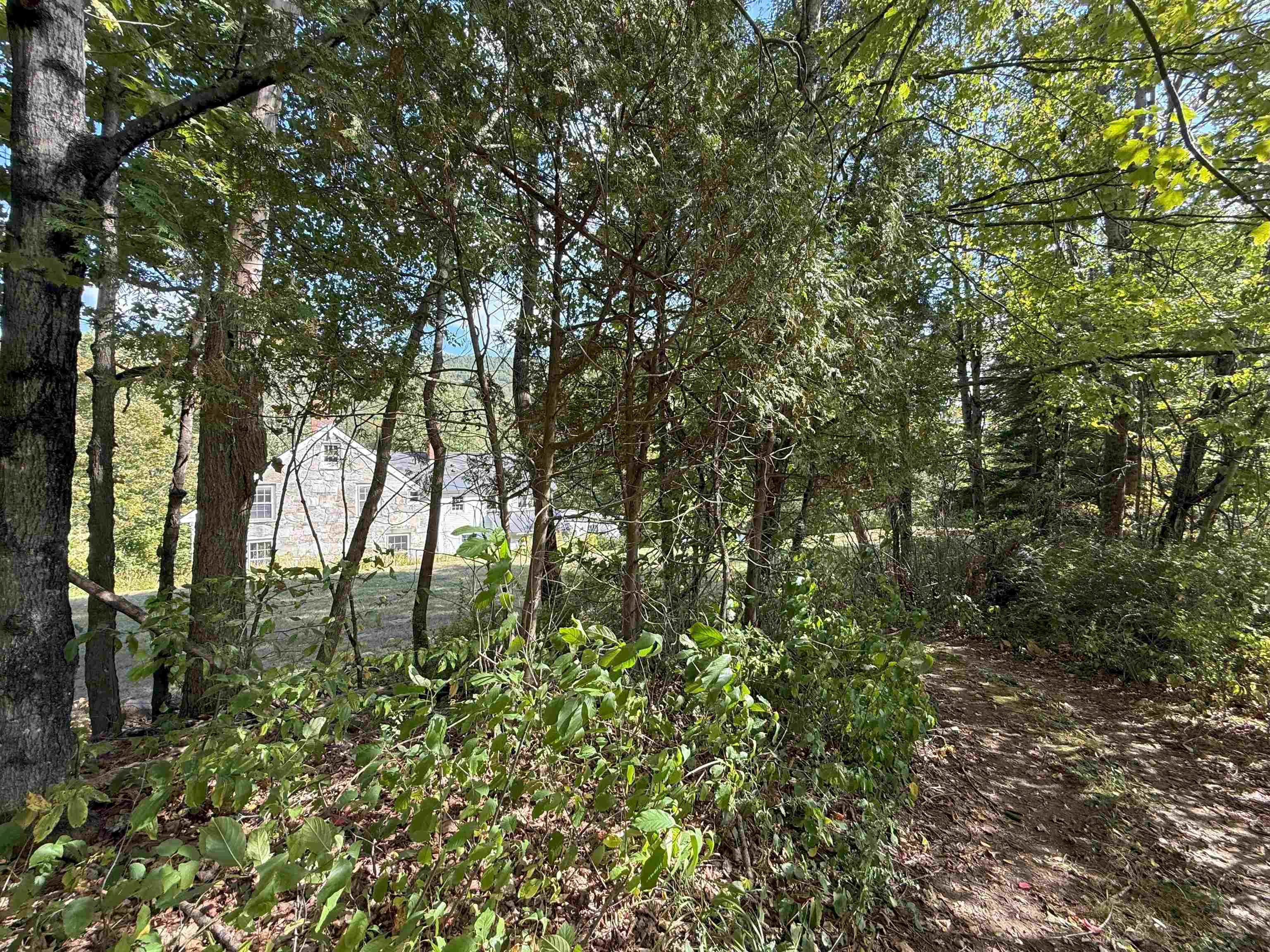 main property photo 39