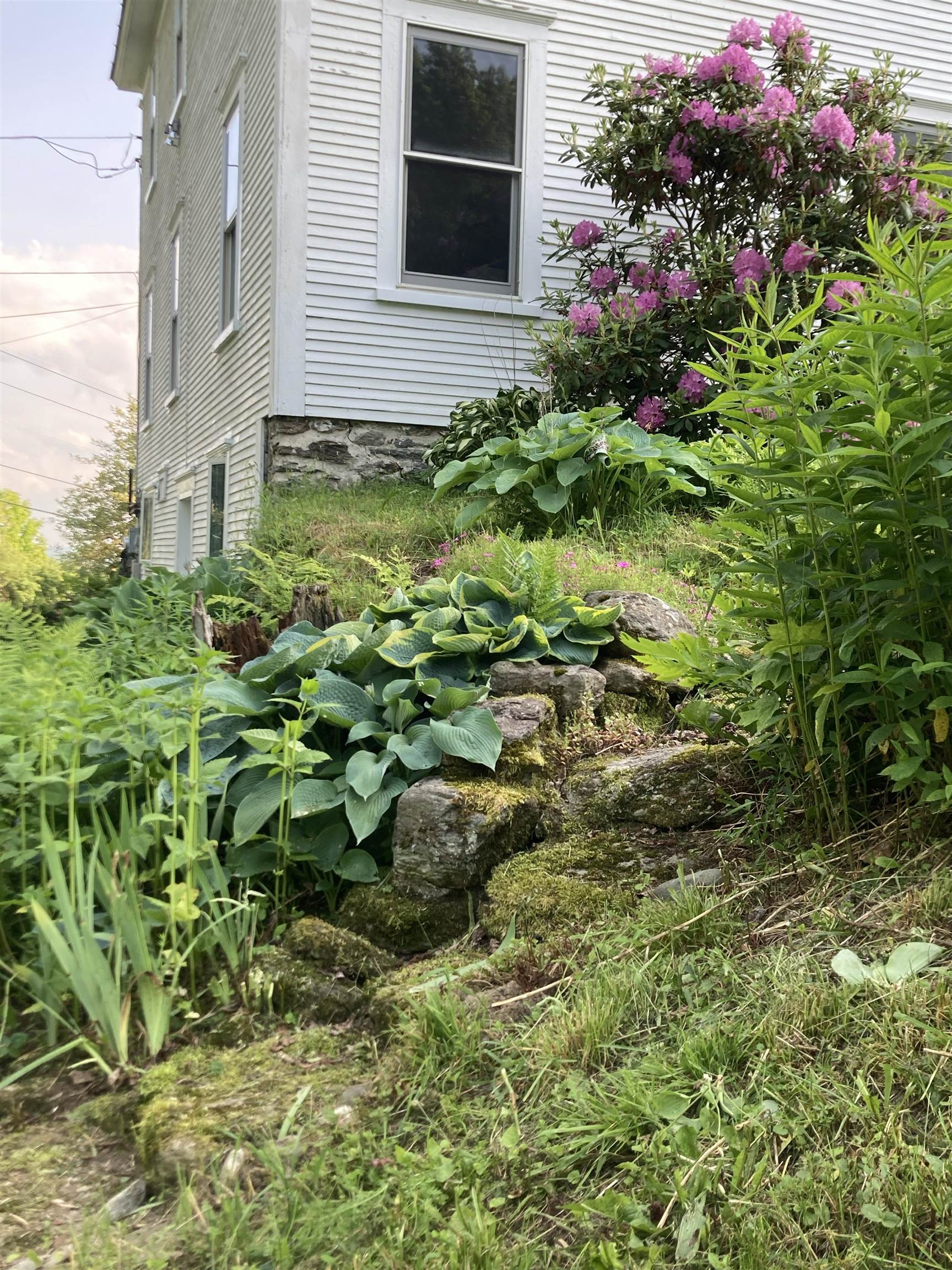 main property photo 39