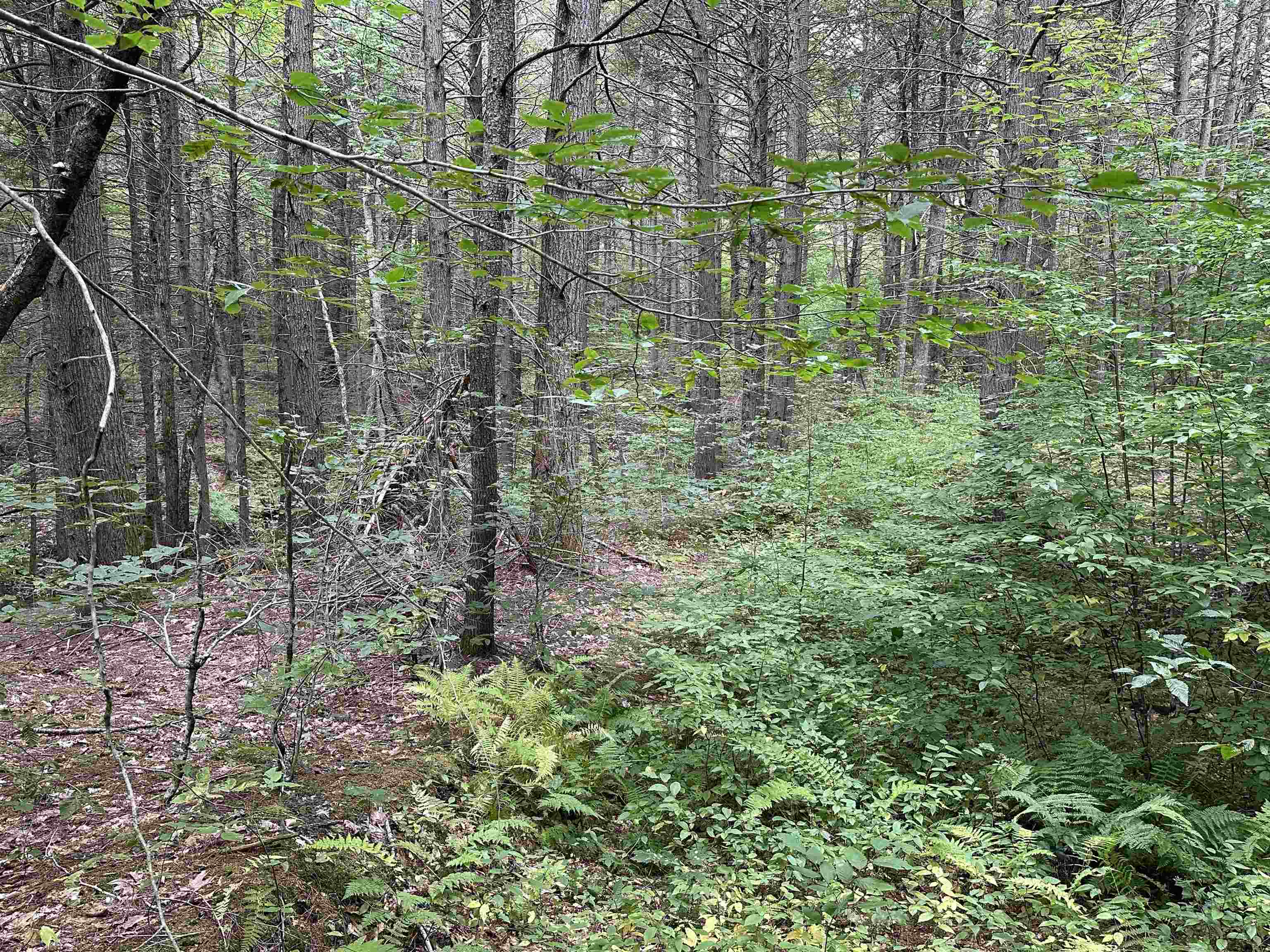 main property photo 34