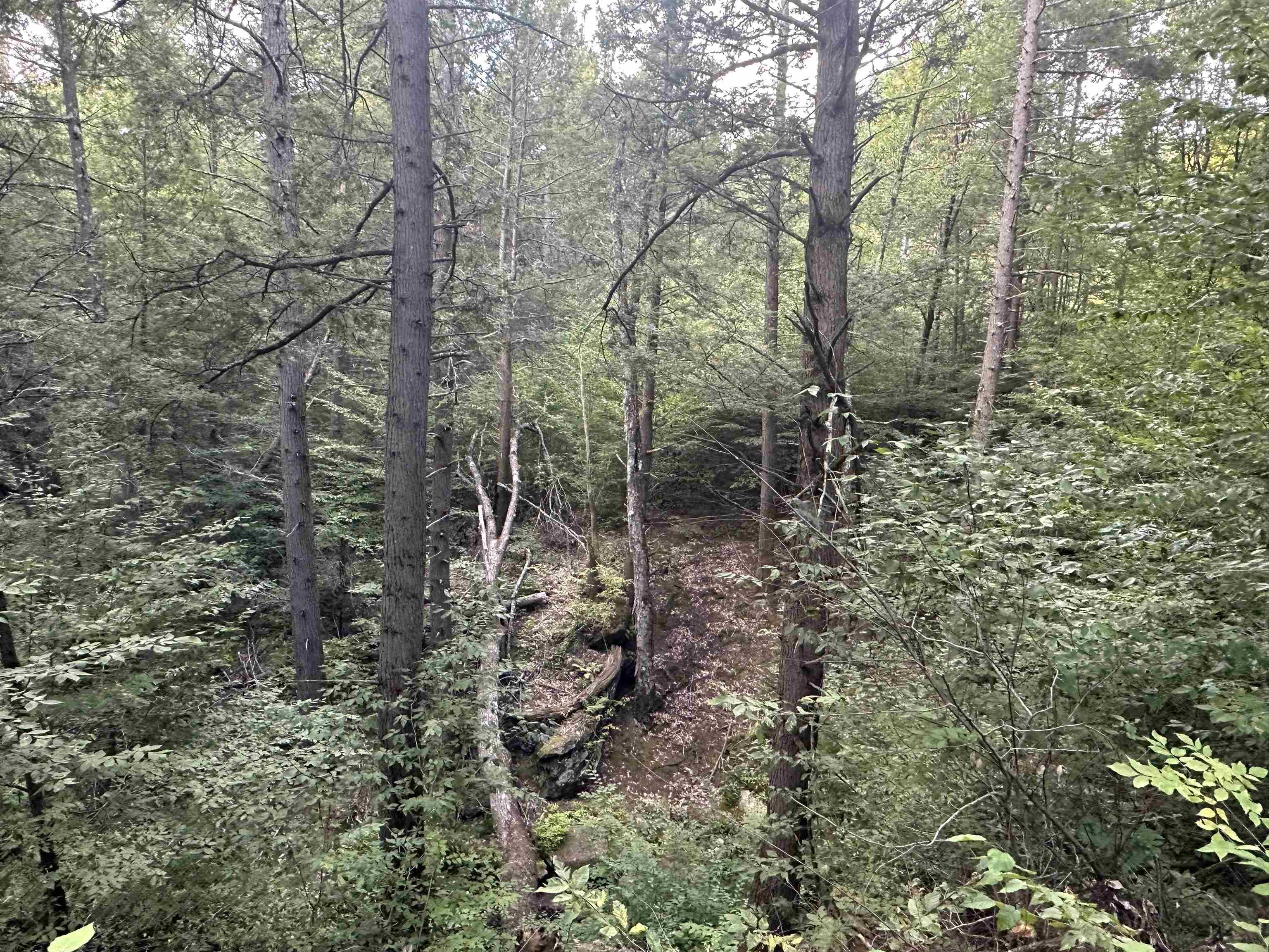 main property photo 40