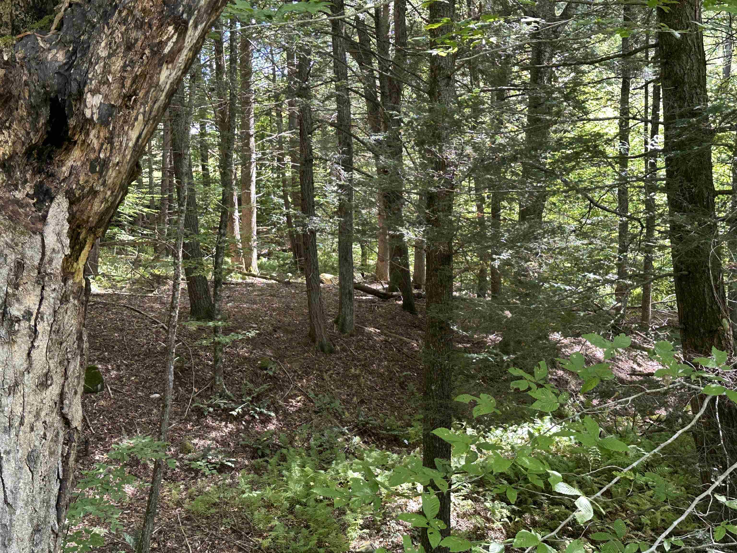 main property photo 48
