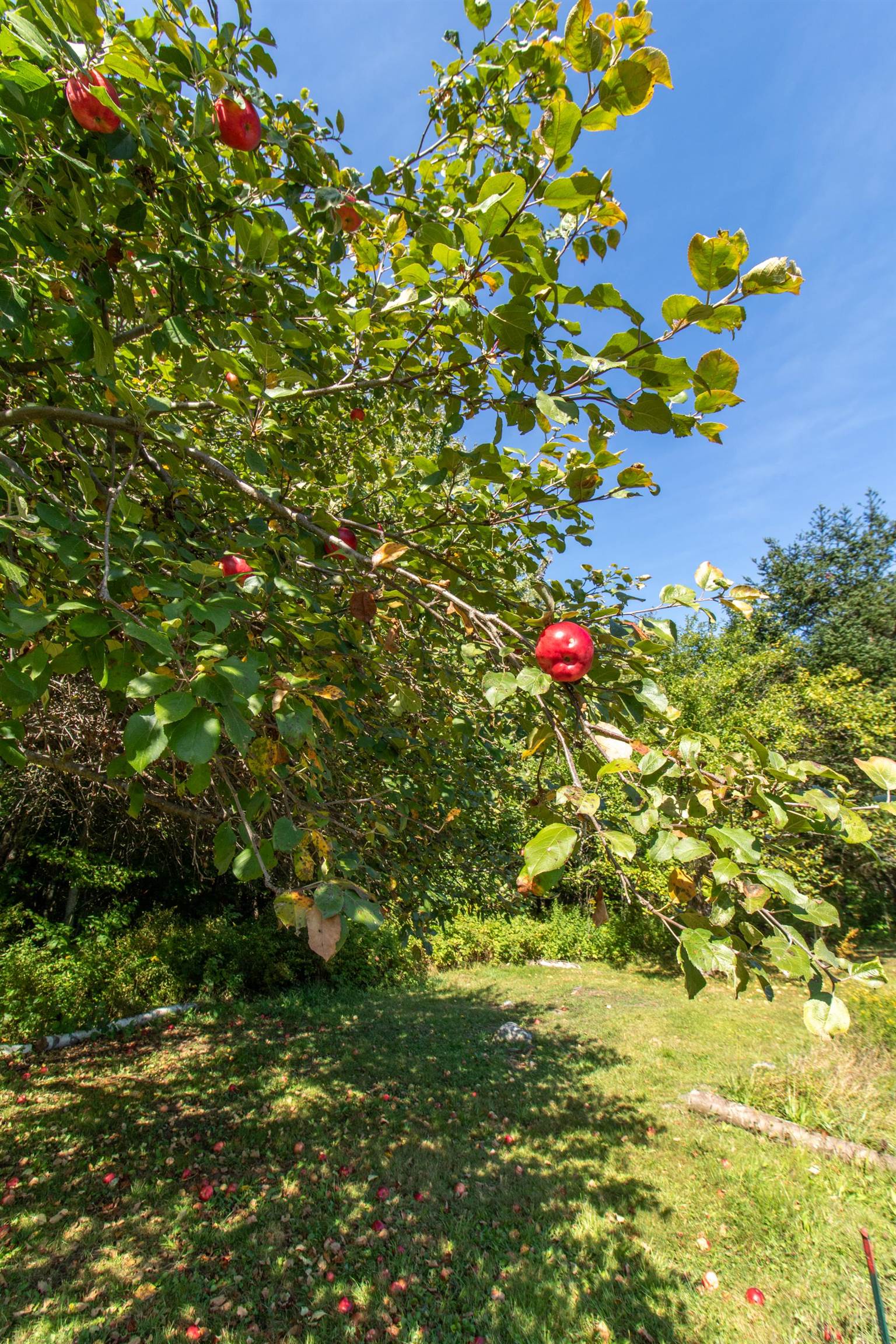 main property photo 51