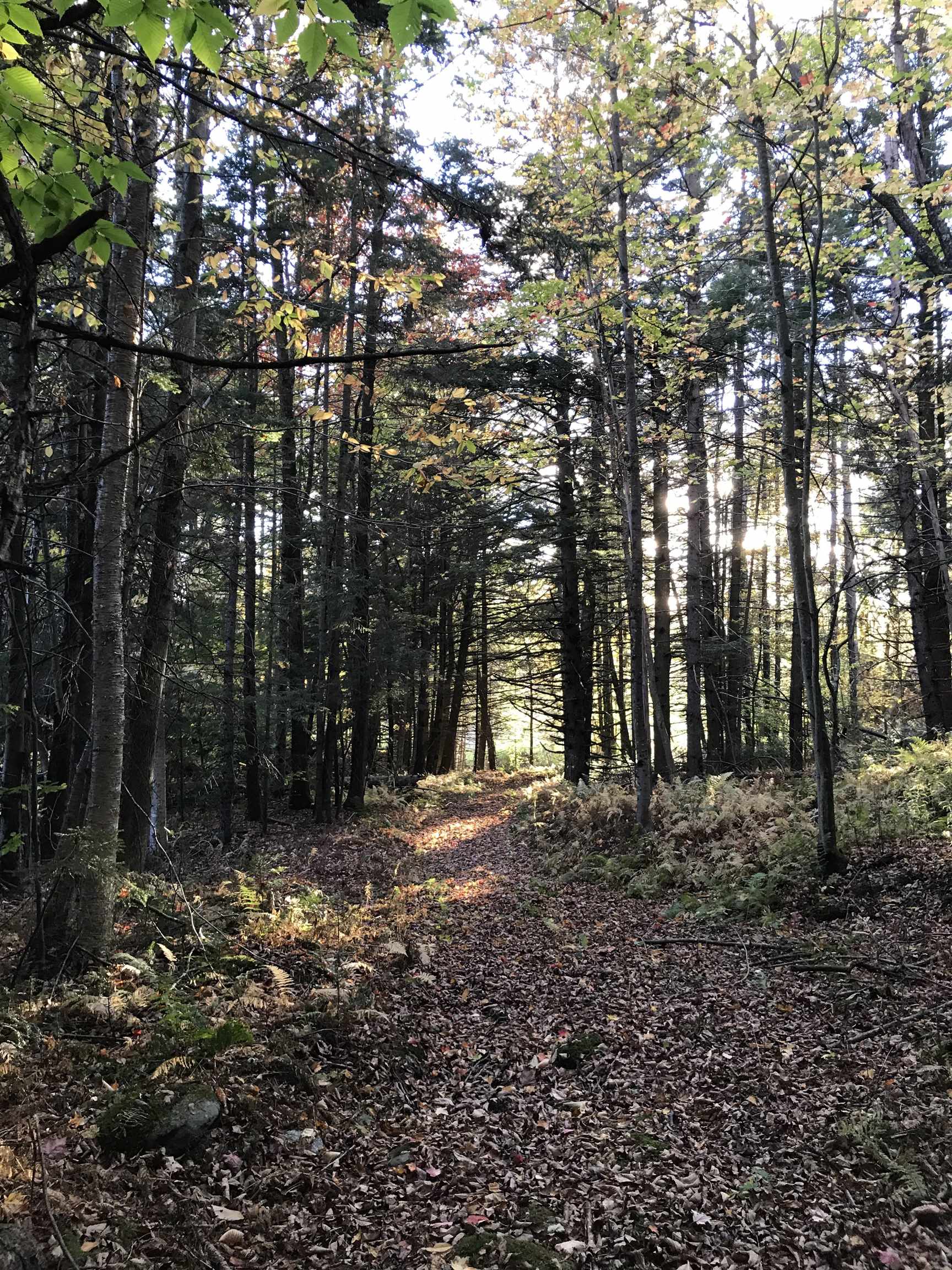 main property photo 11