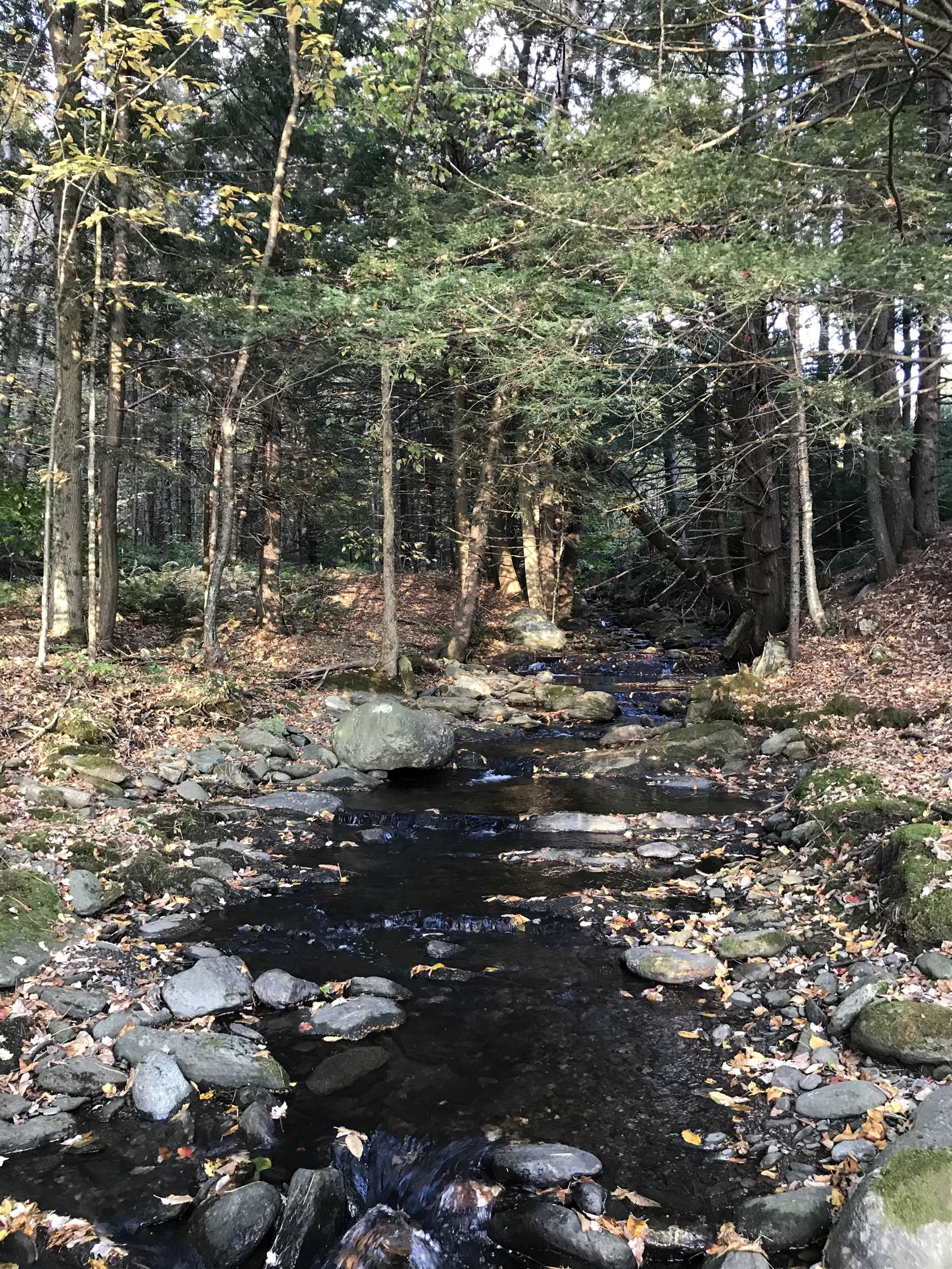 main property photo 13