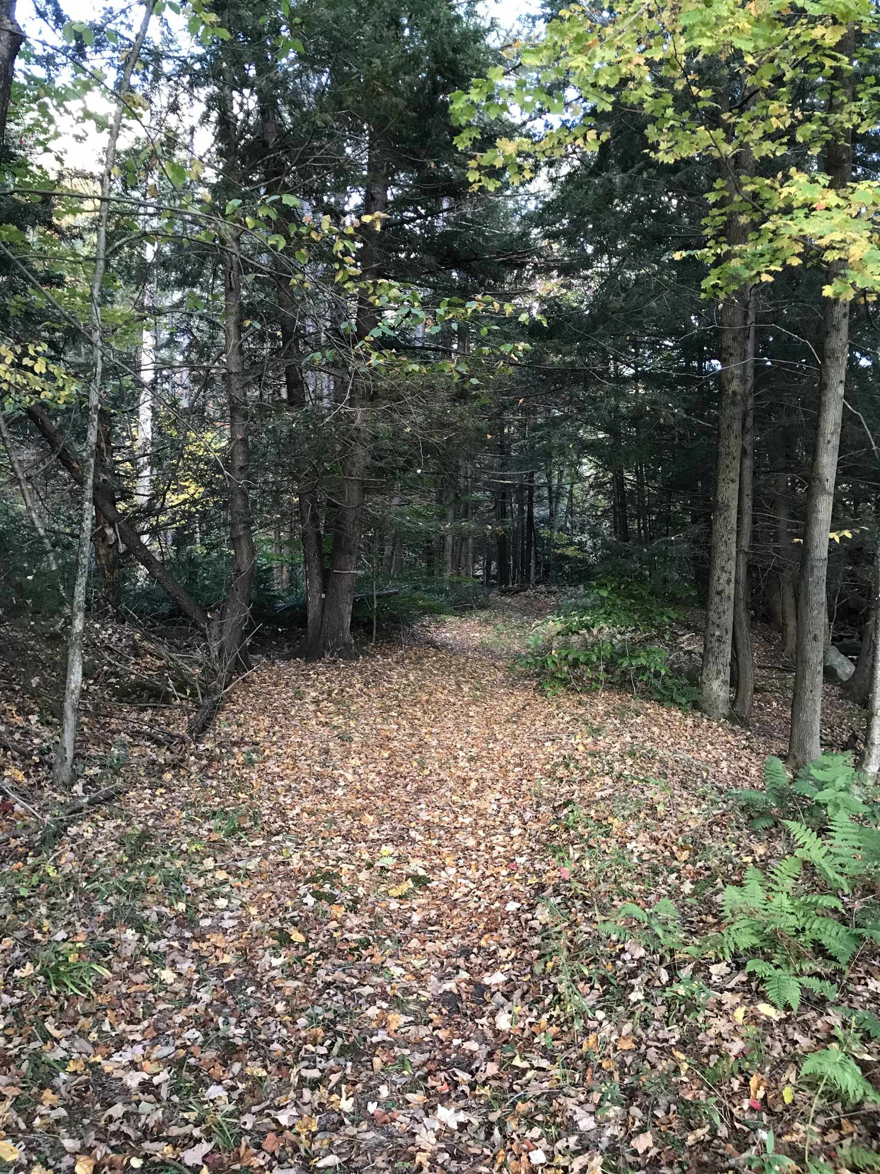 main property photo 14