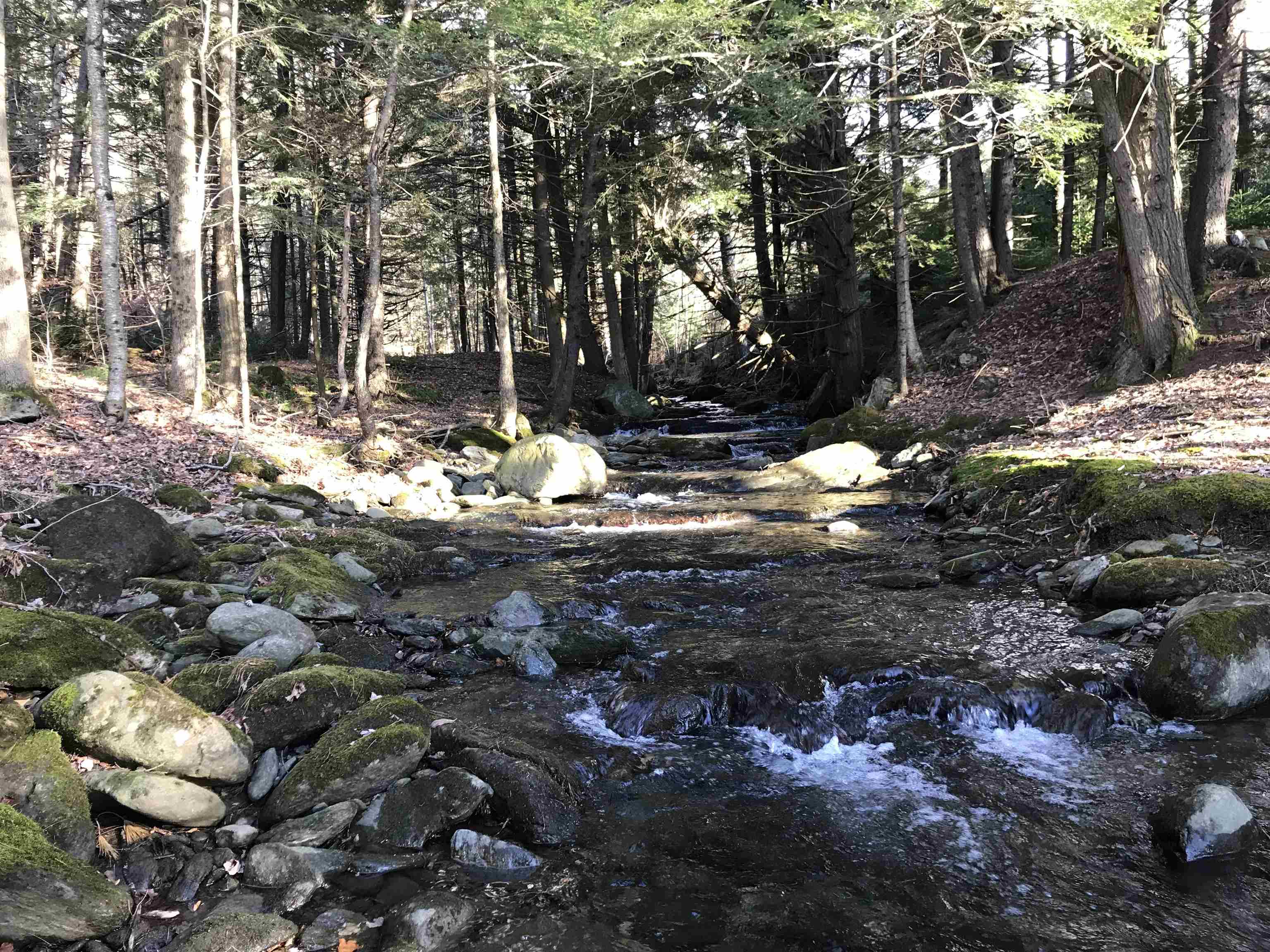main property photo 15