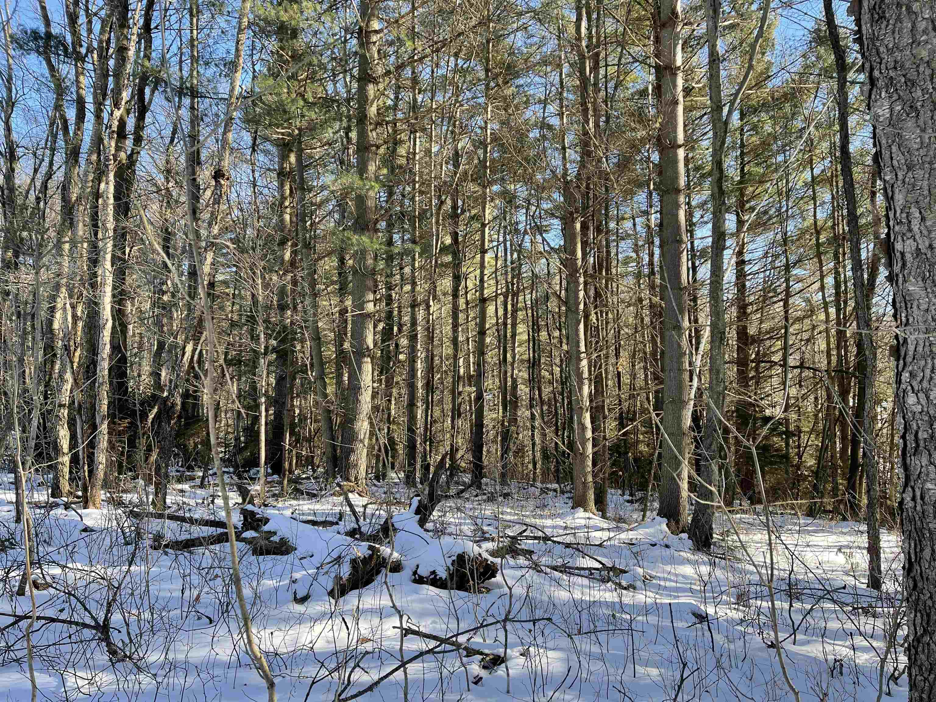 main property photo 22
