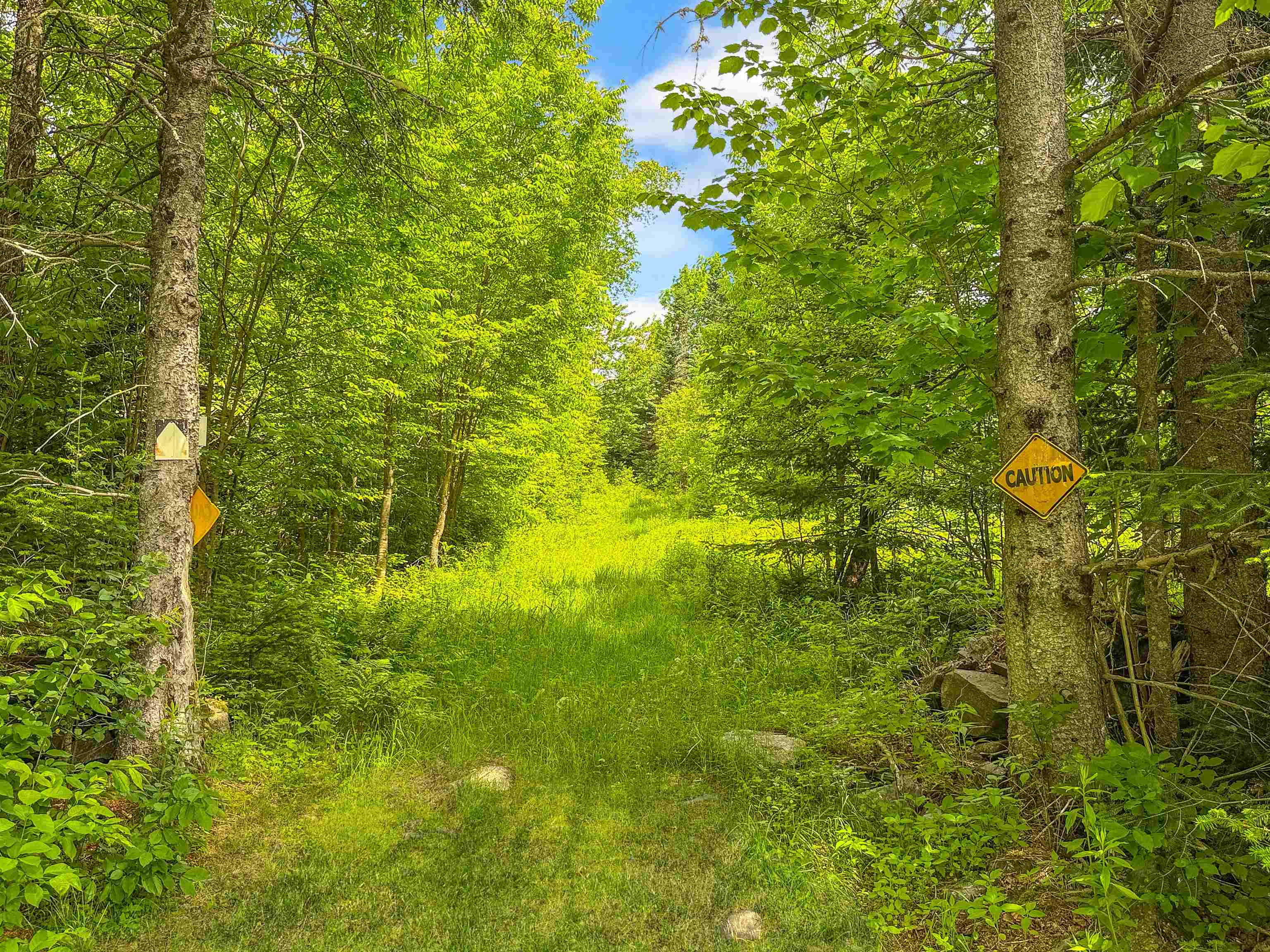 main property photo 47