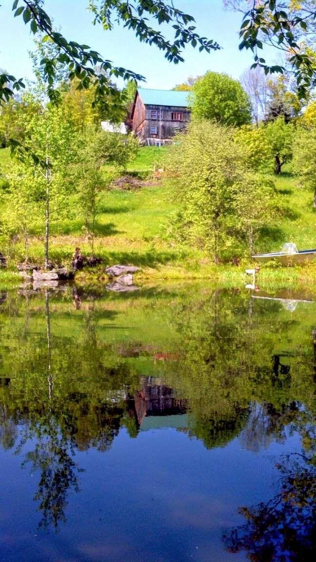 main property photo 49