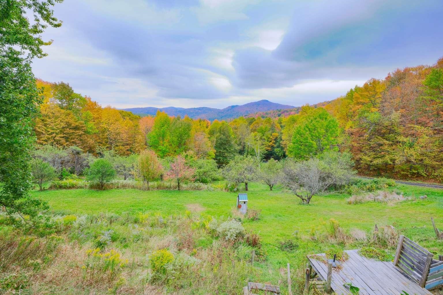 main property photo 54