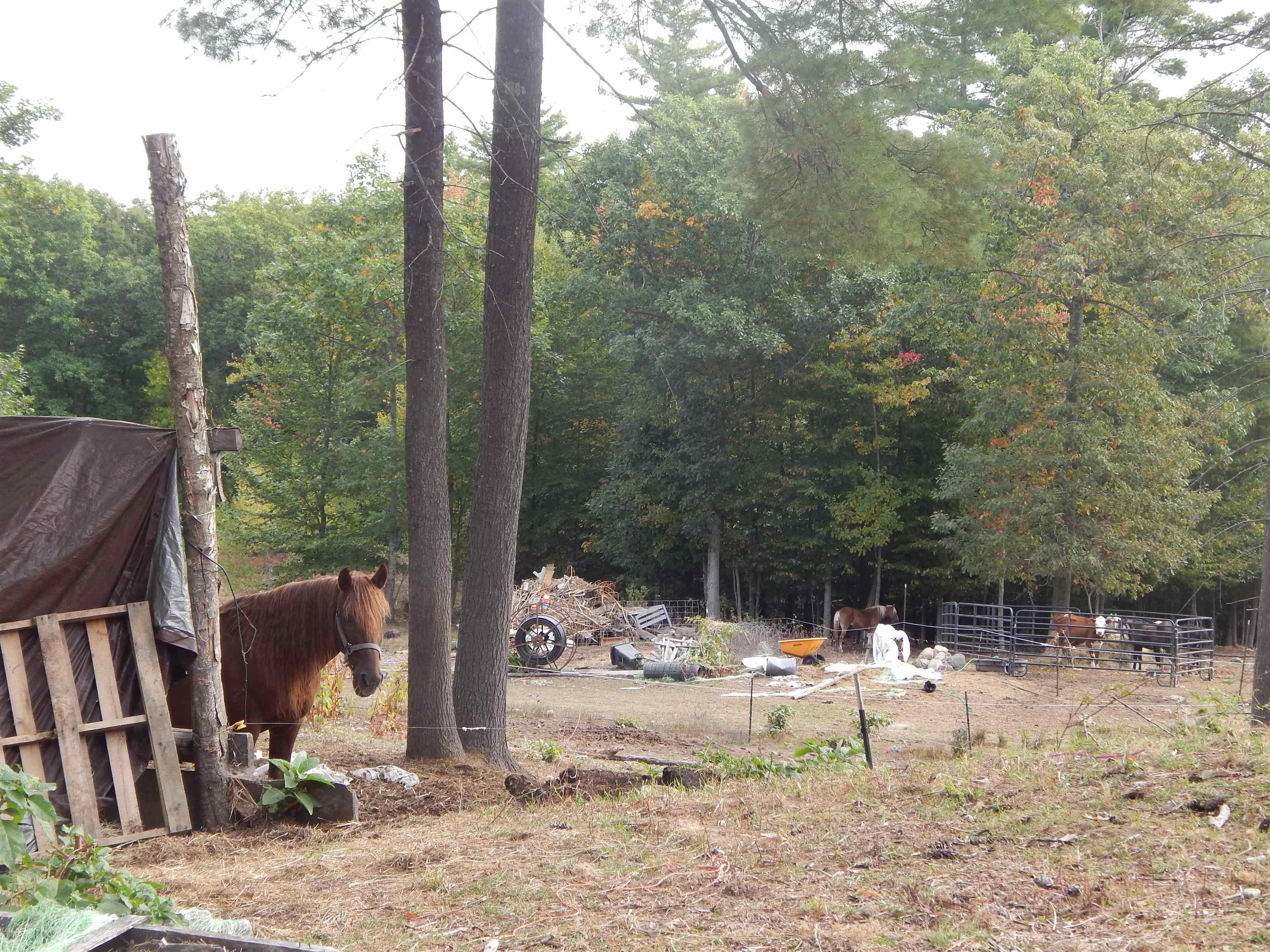 main property photo 26