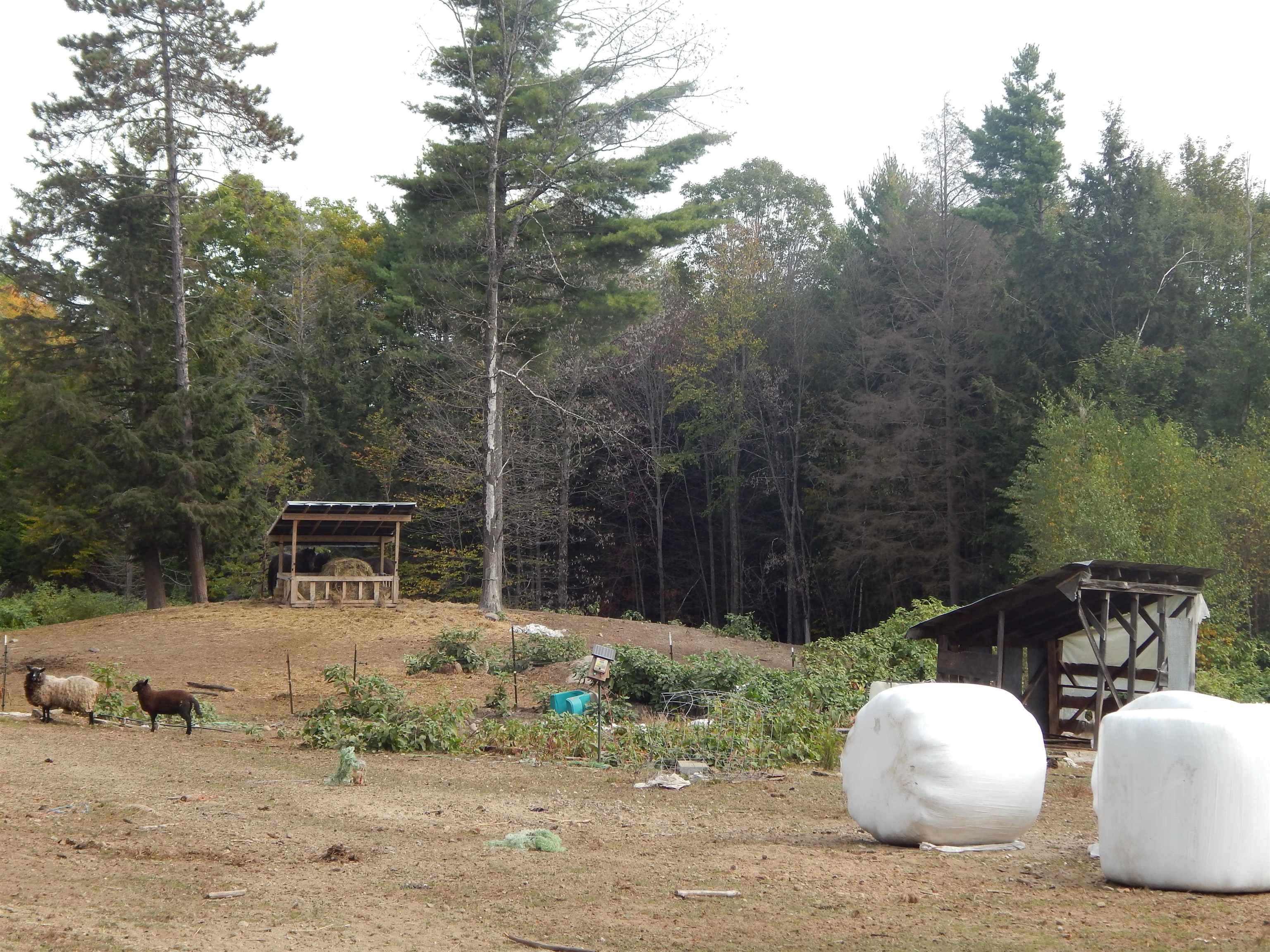 main property photo 28