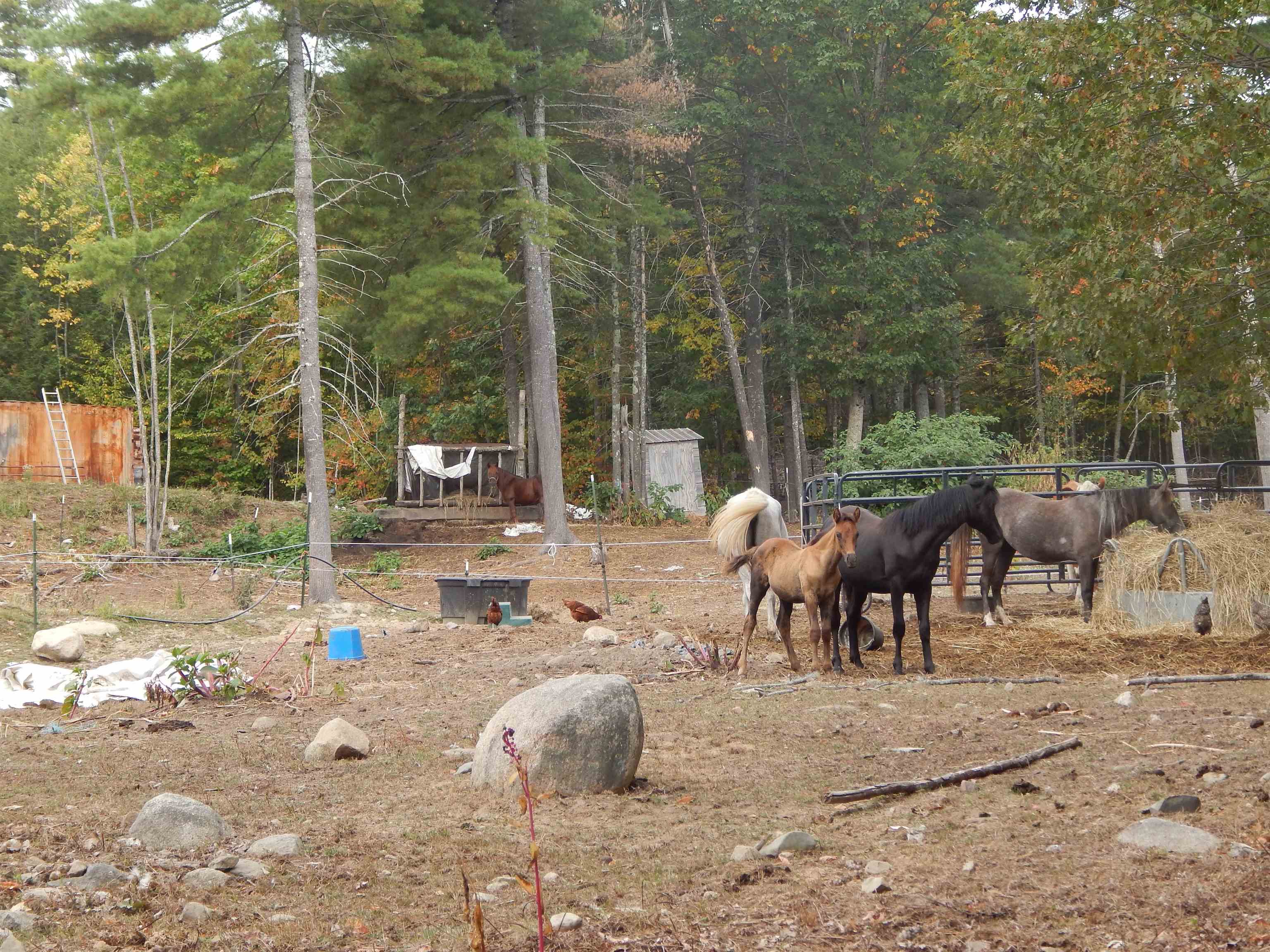 main property photo 34