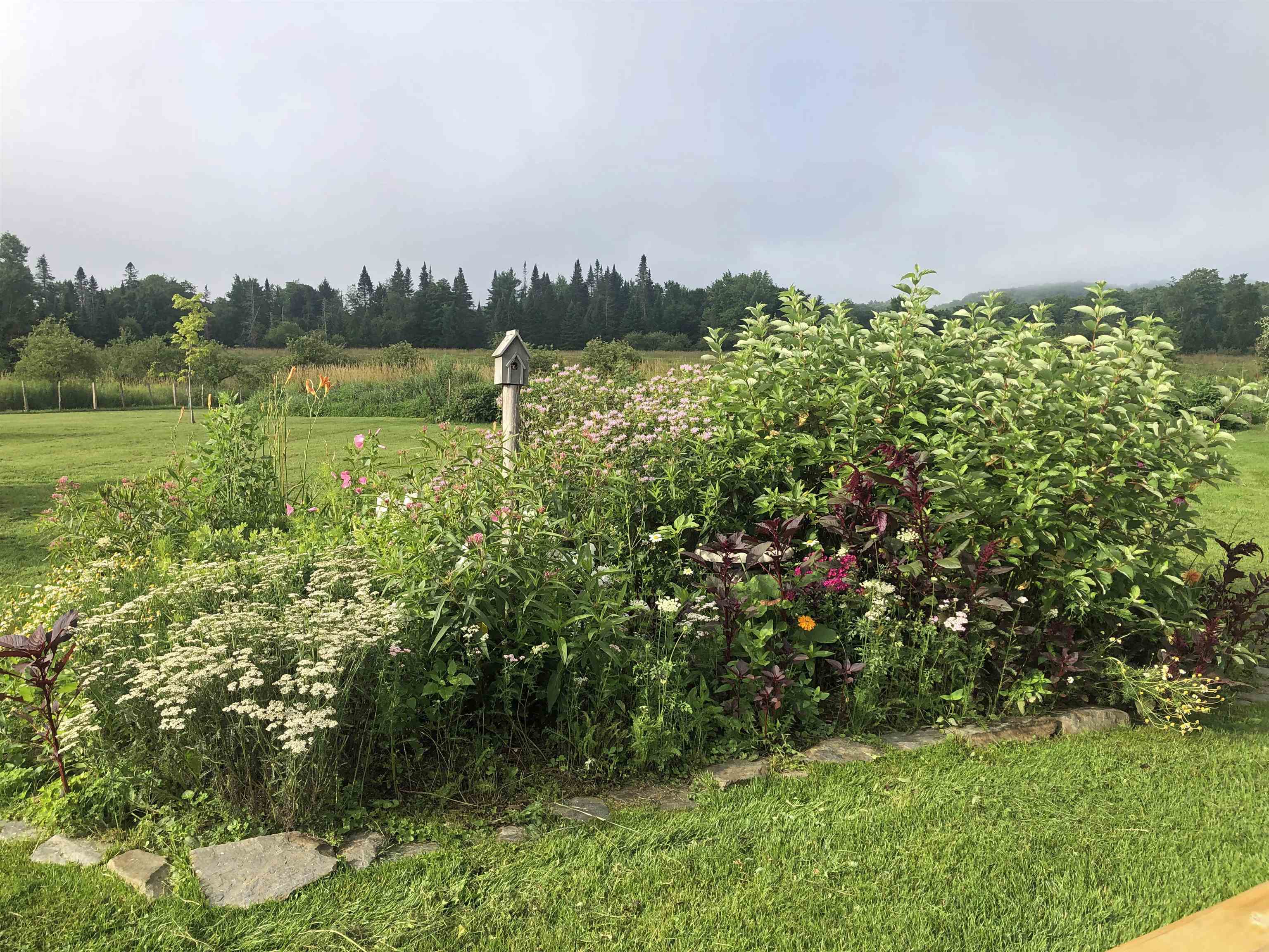 property viewer photo 55