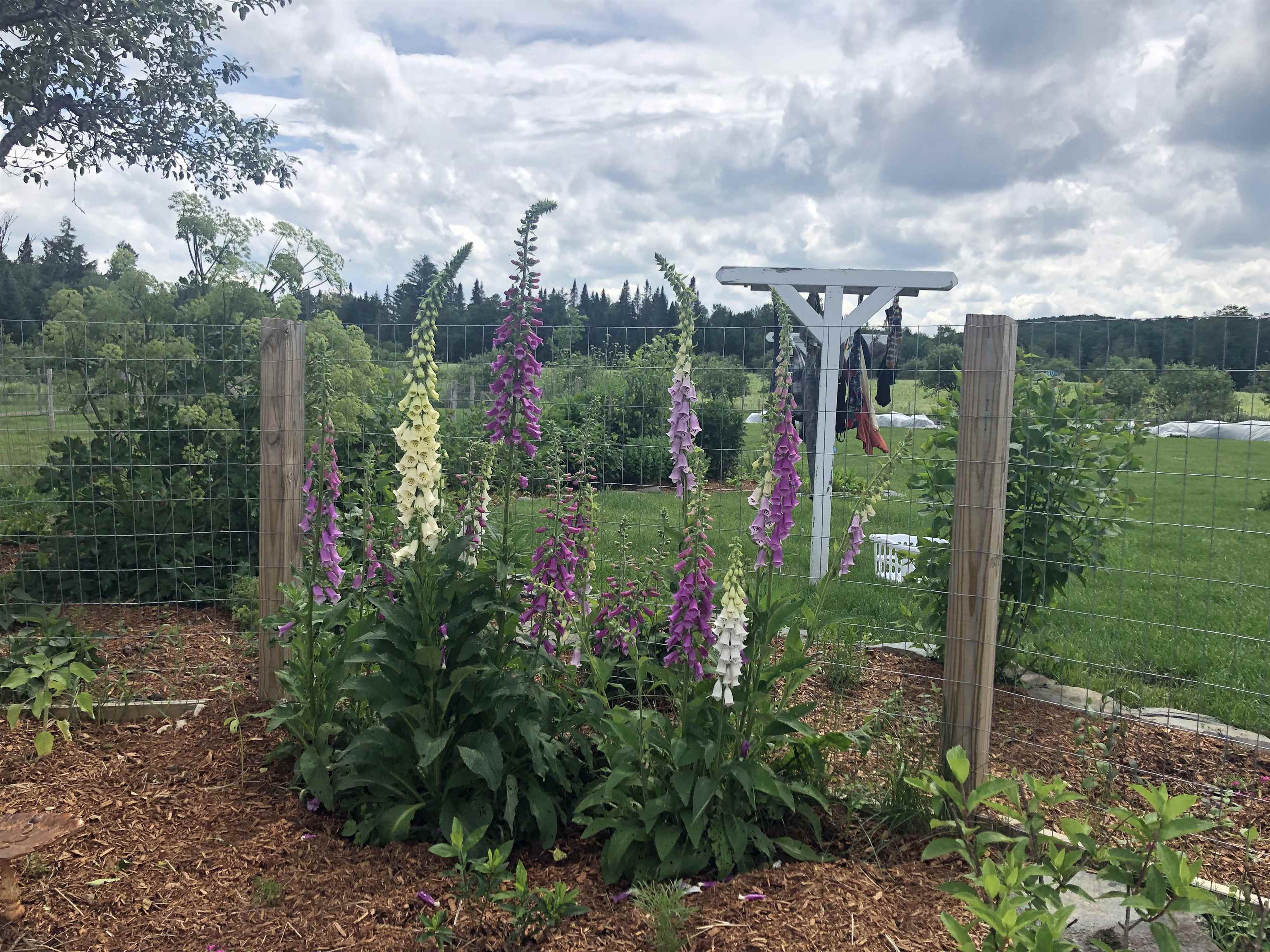 property viewer photo 56