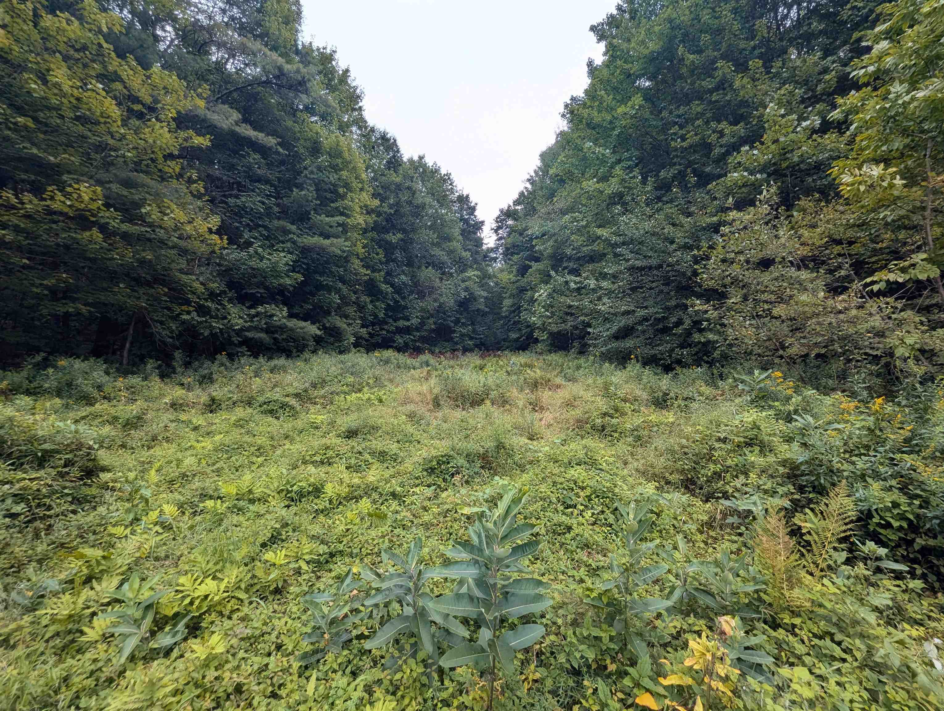 main property photo 50