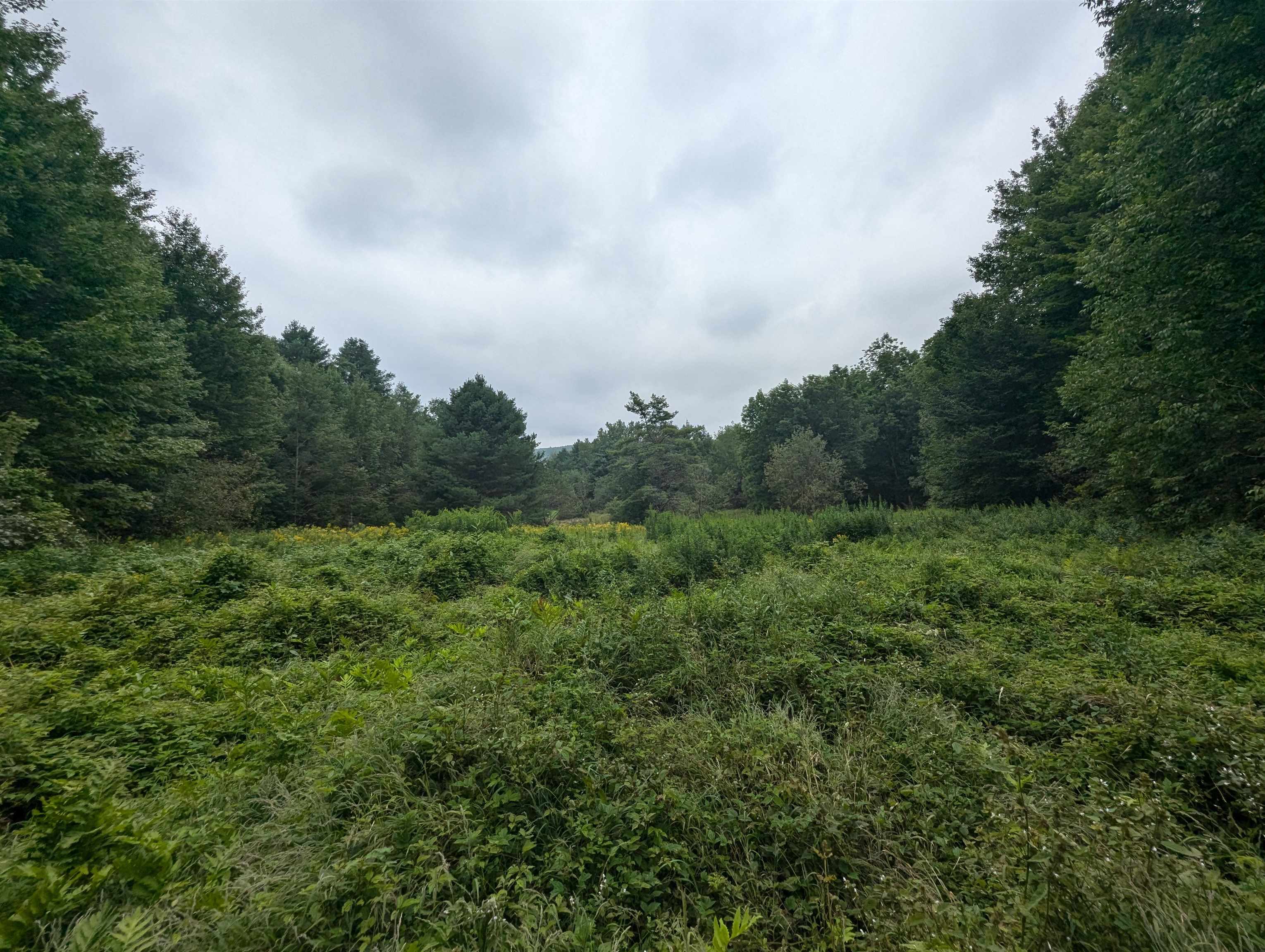main property photo 51