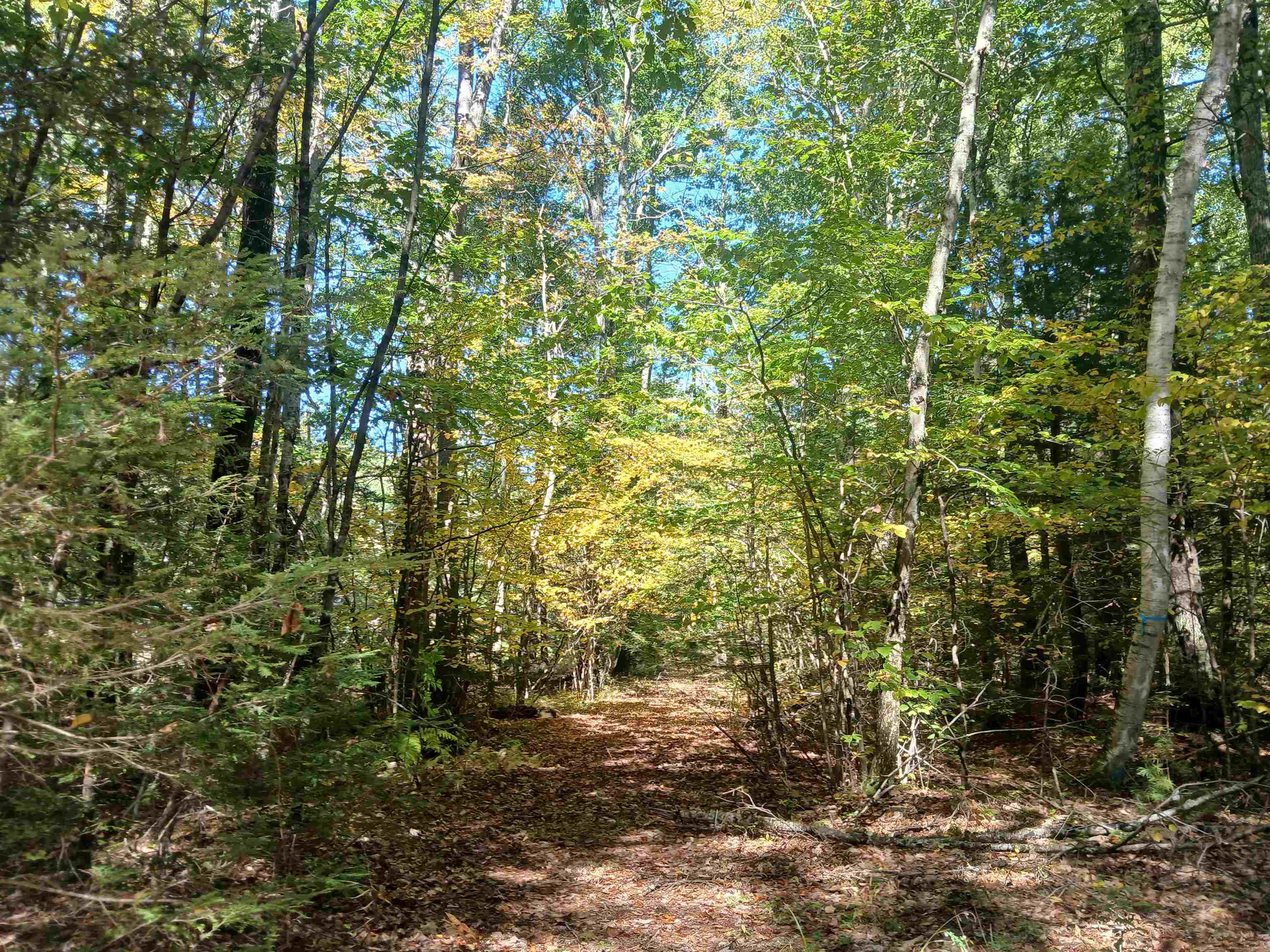 main property photo 21