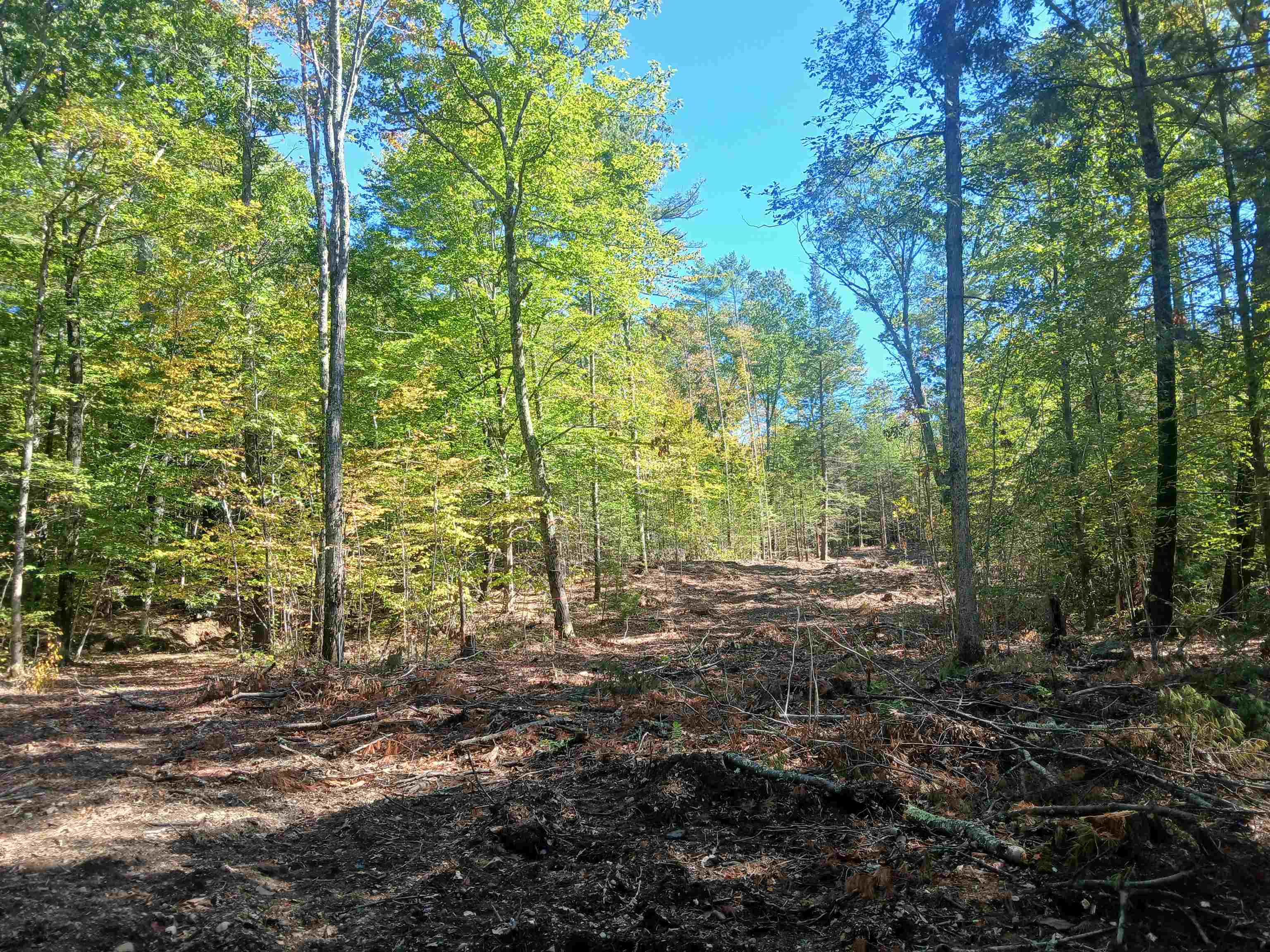main property photo 8