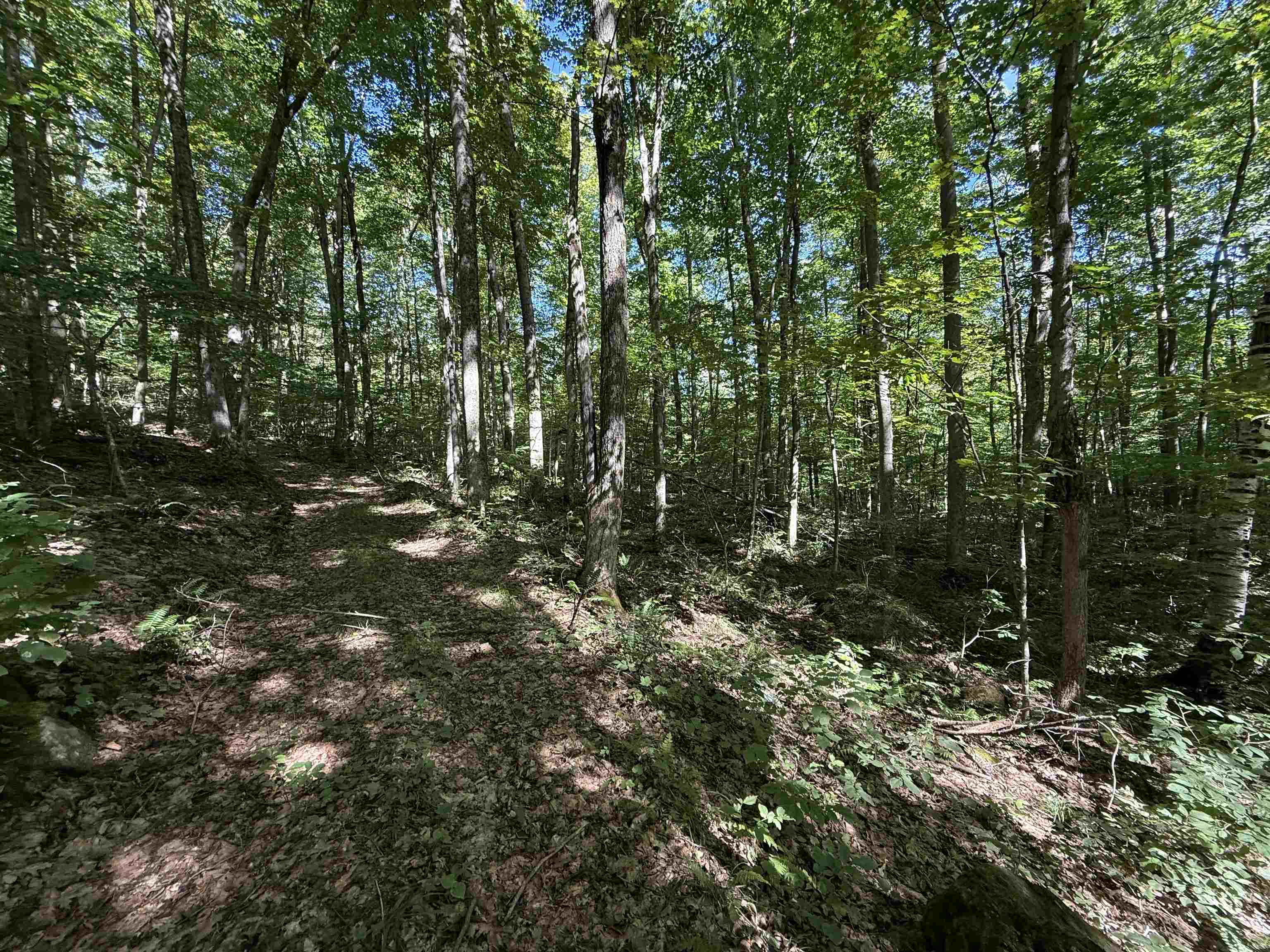 main property photo 40