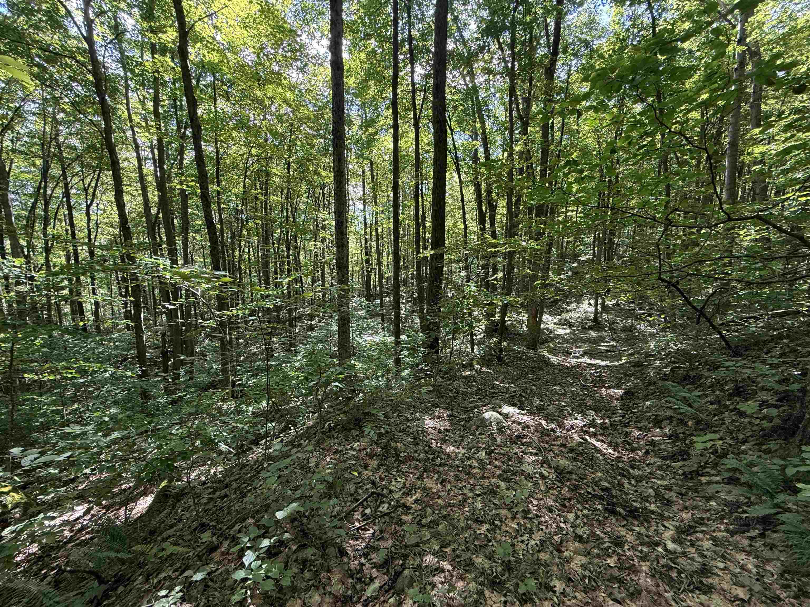 main property photo 41