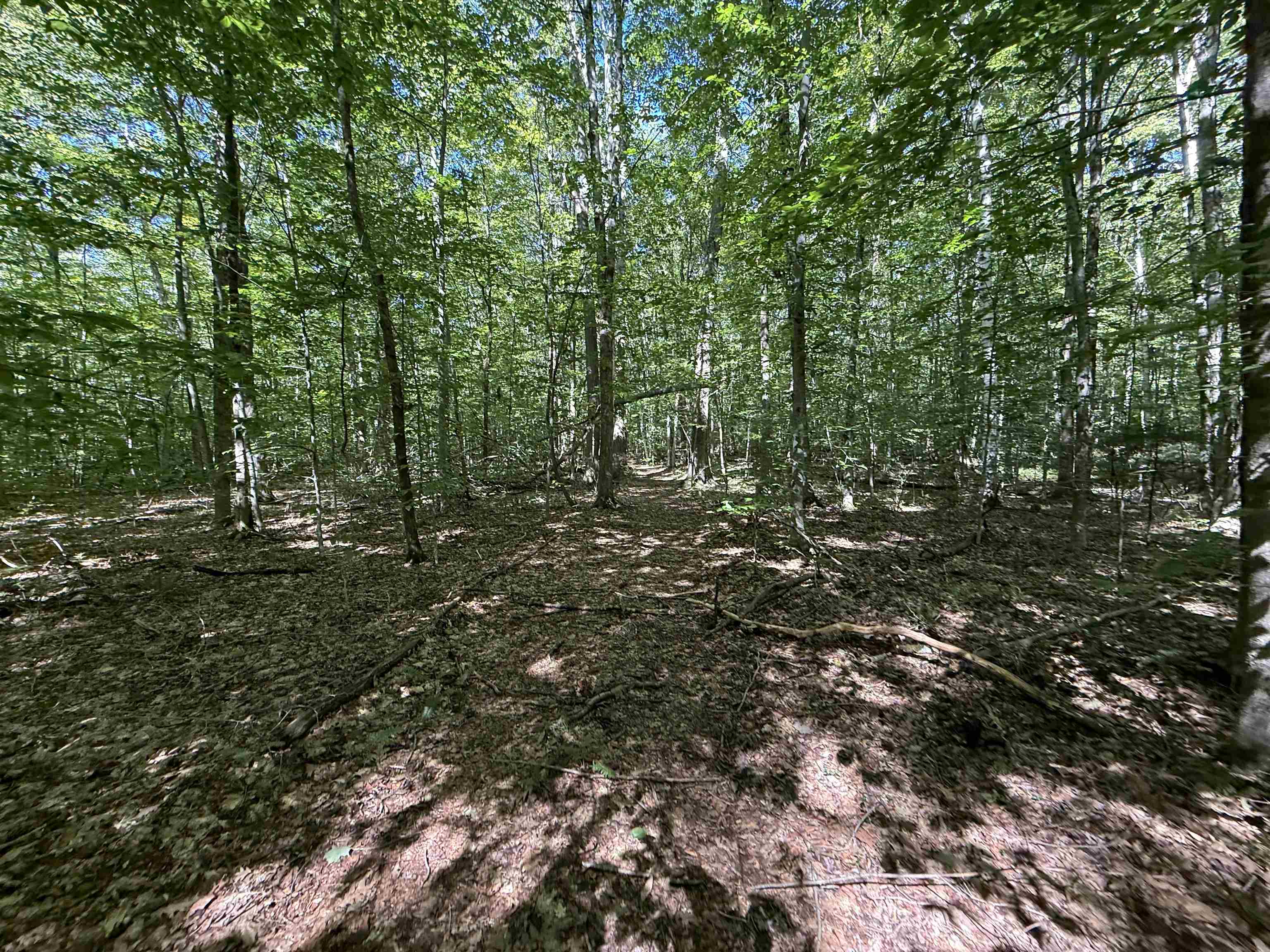 main property photo 53