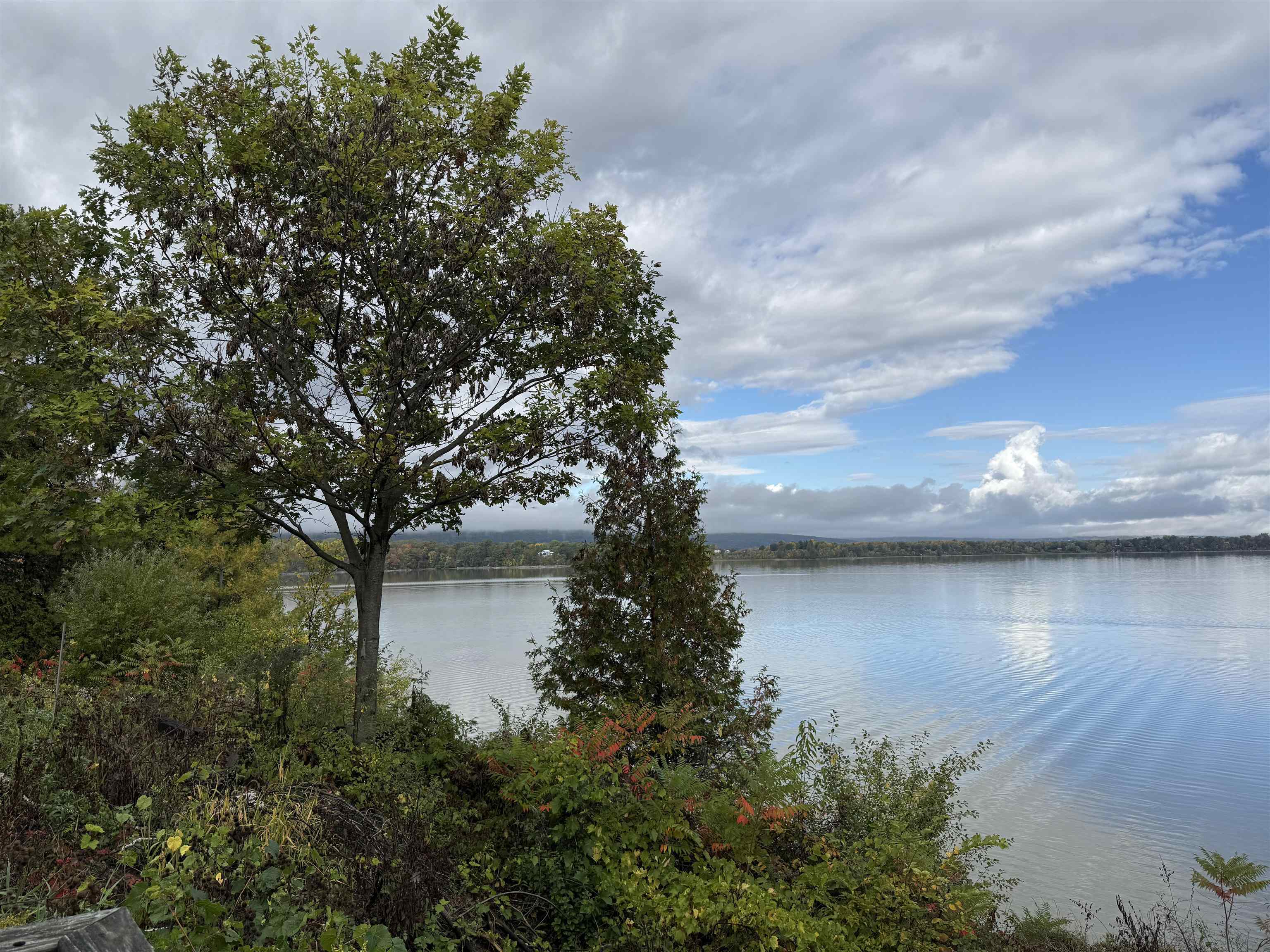 main property photo 39