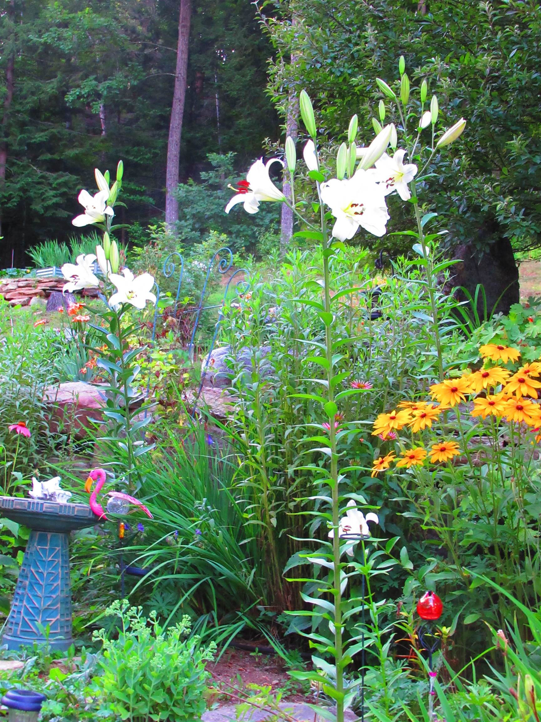 property viewer photo 12