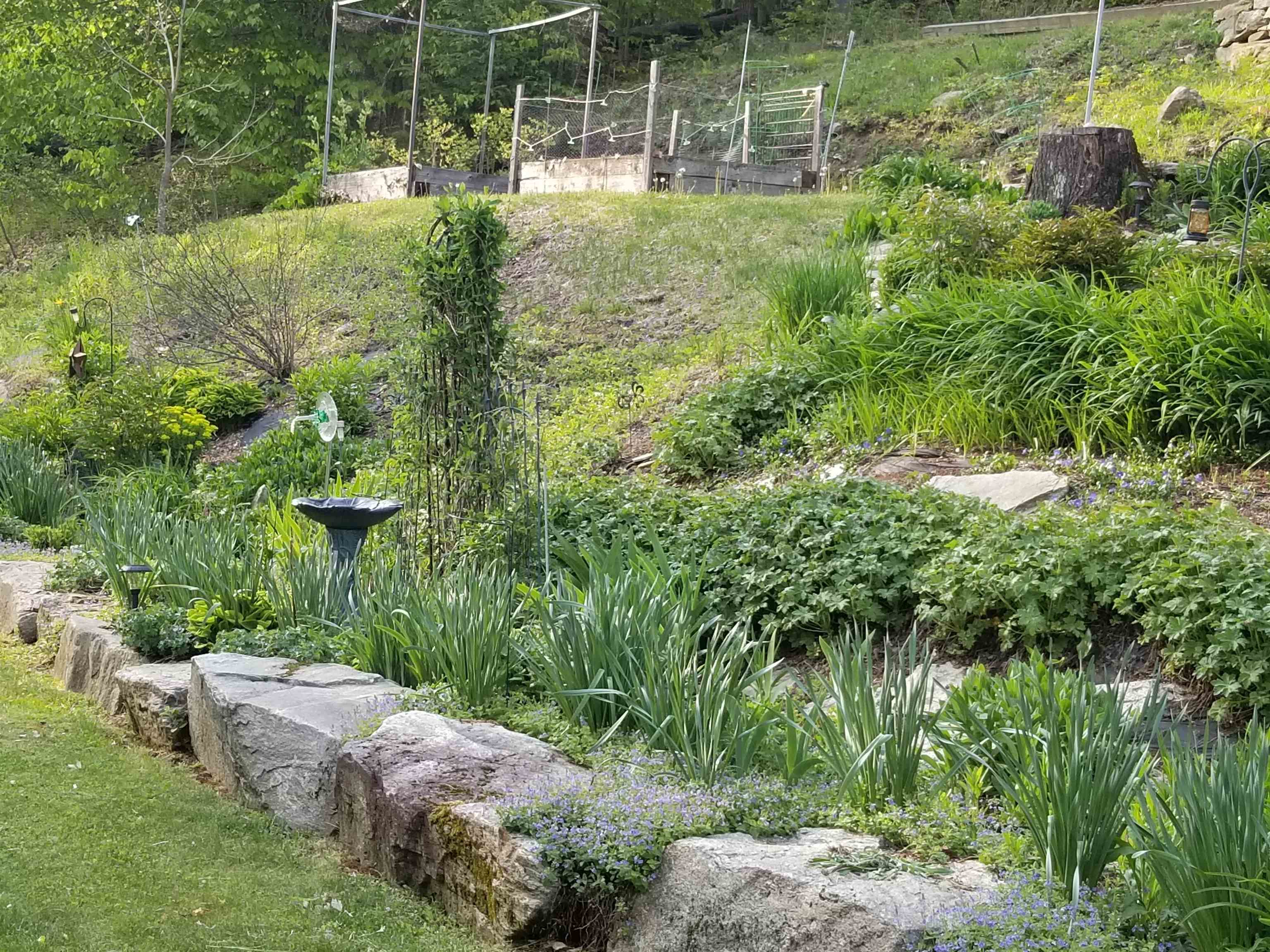 property viewer photo 13