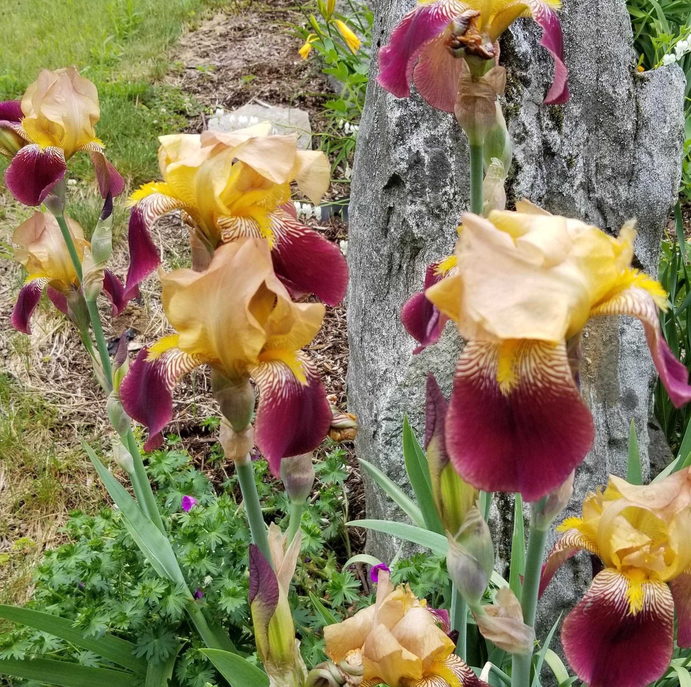 property viewer photo 18