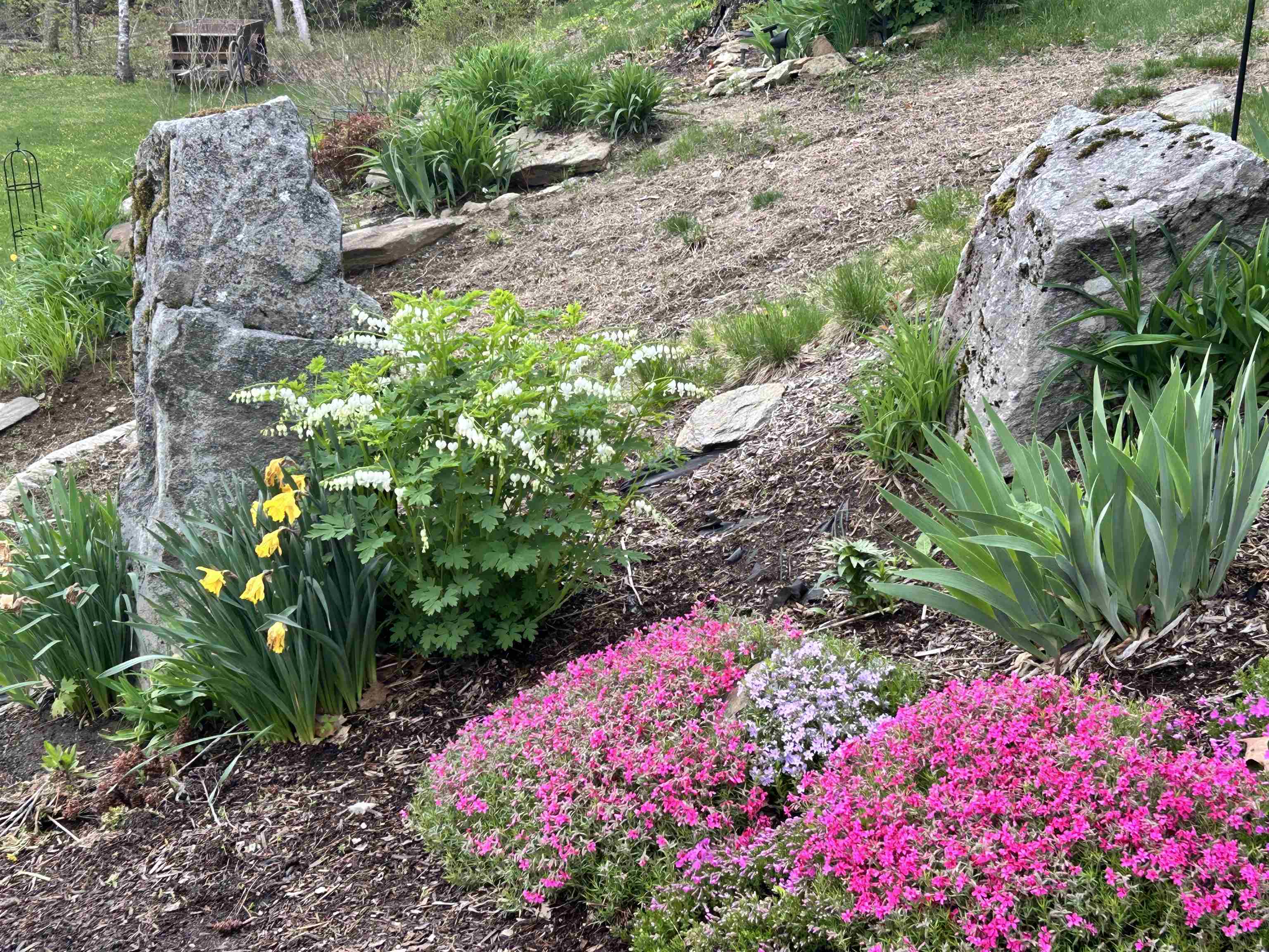 property viewer photo 7