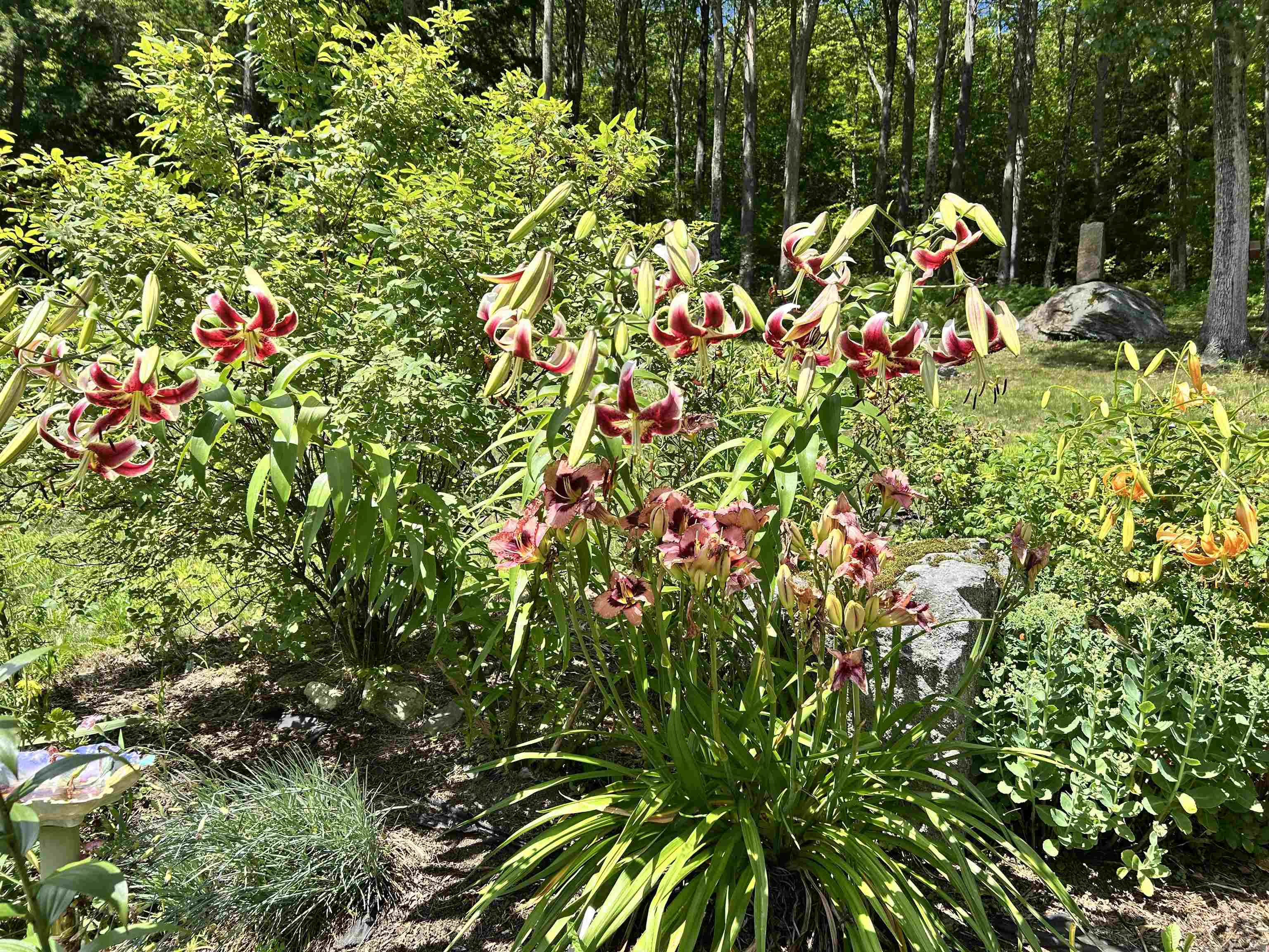 property viewer photo 8