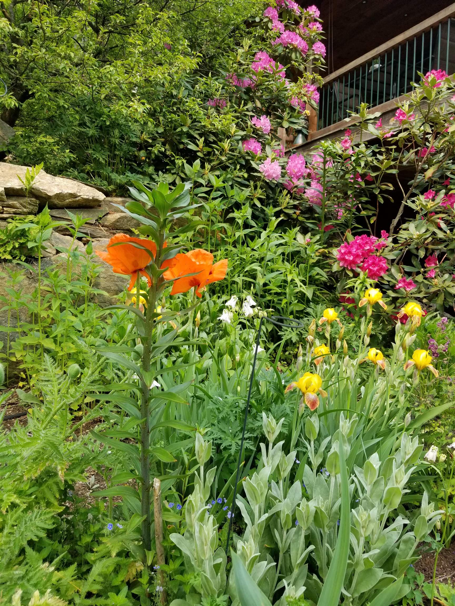 property viewer photo 9