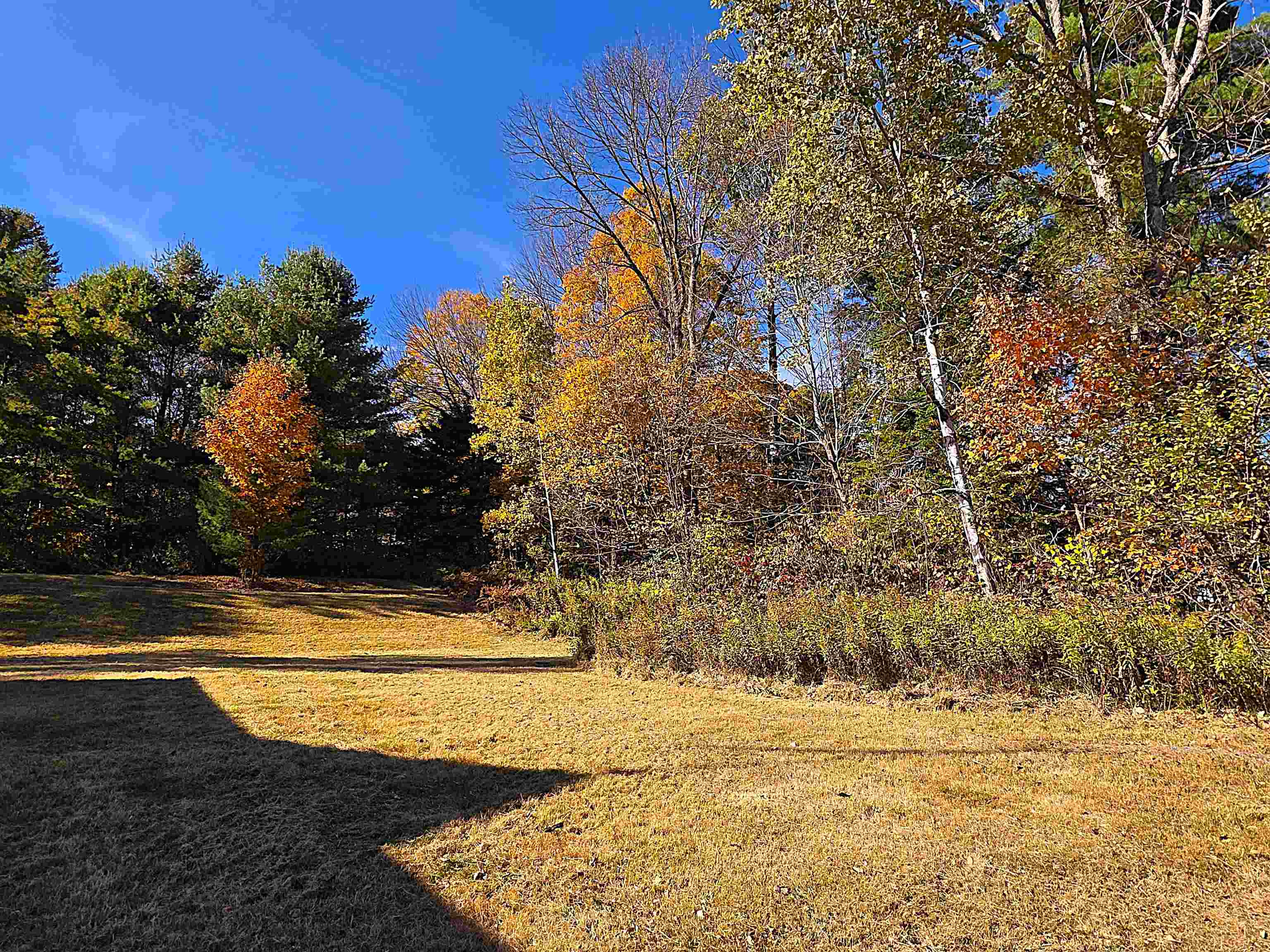 property viewer photo 41