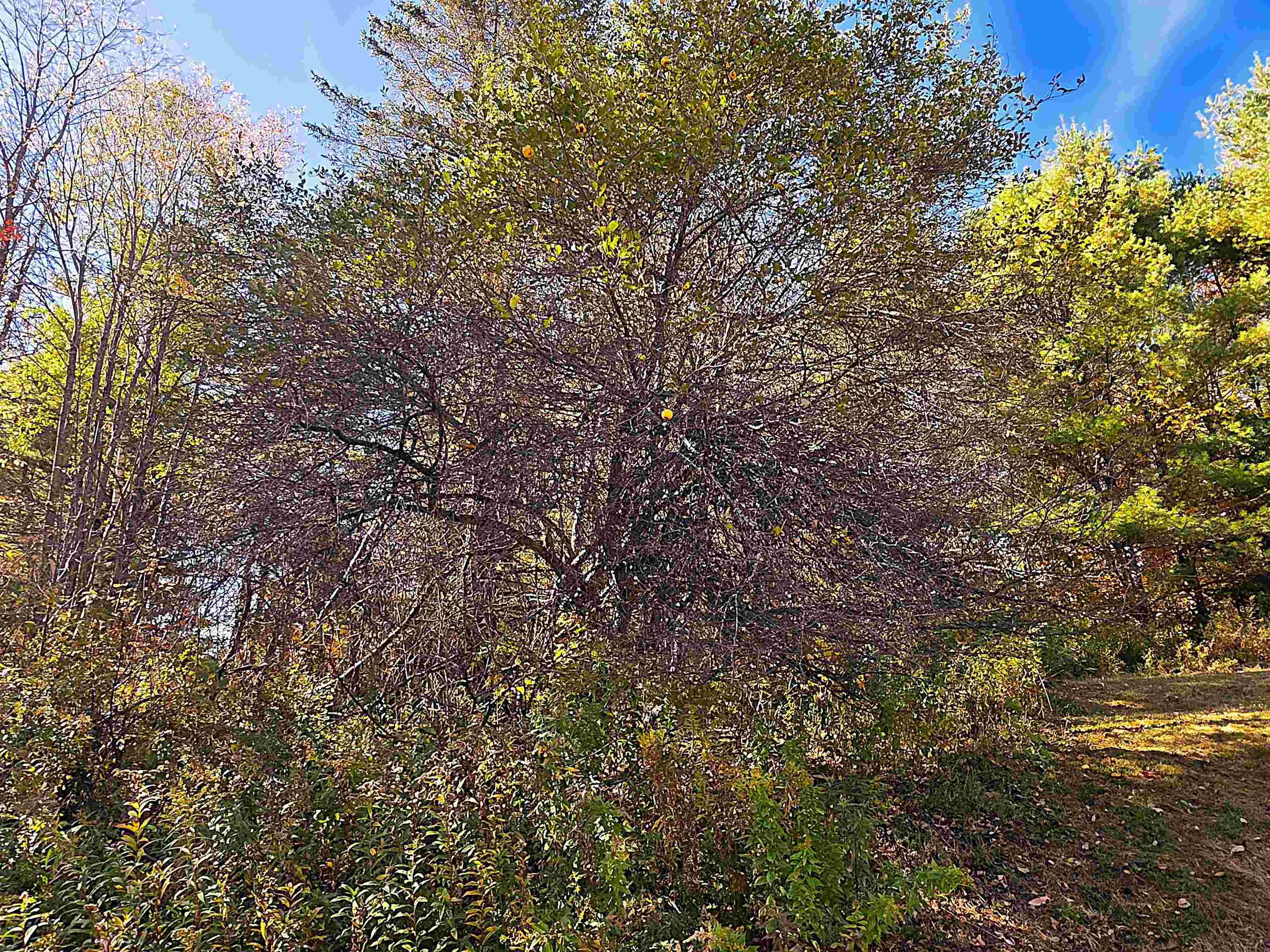 property viewer photo 7