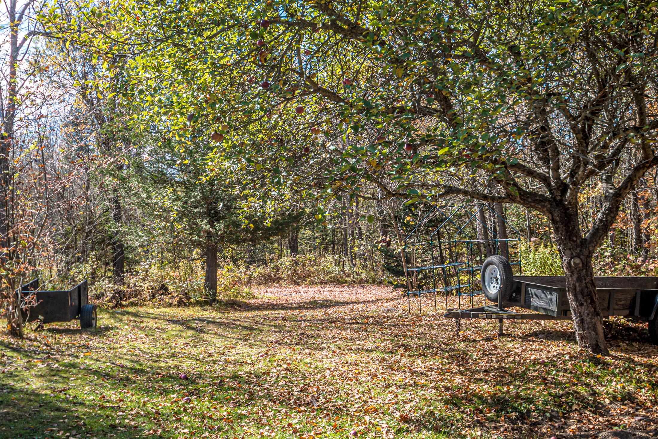 property viewer photo 53