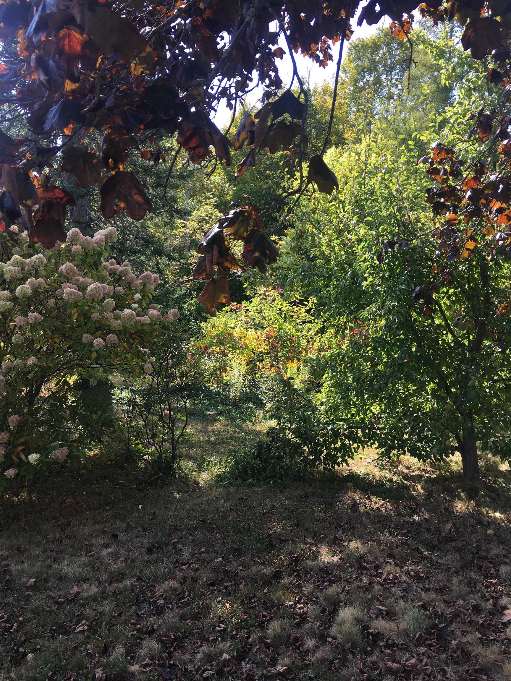 main property photo 7