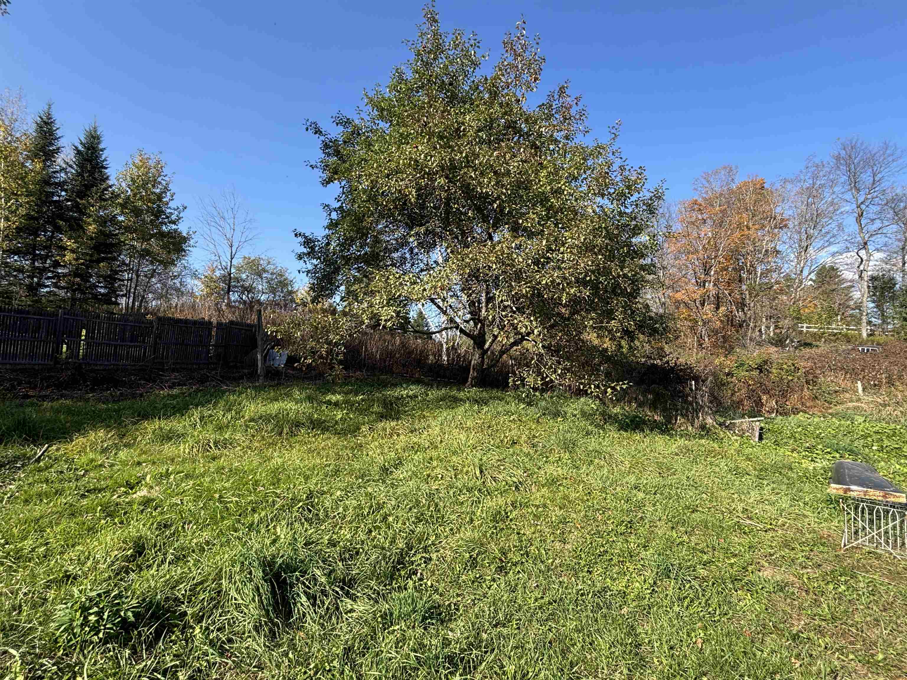 main property photo 44