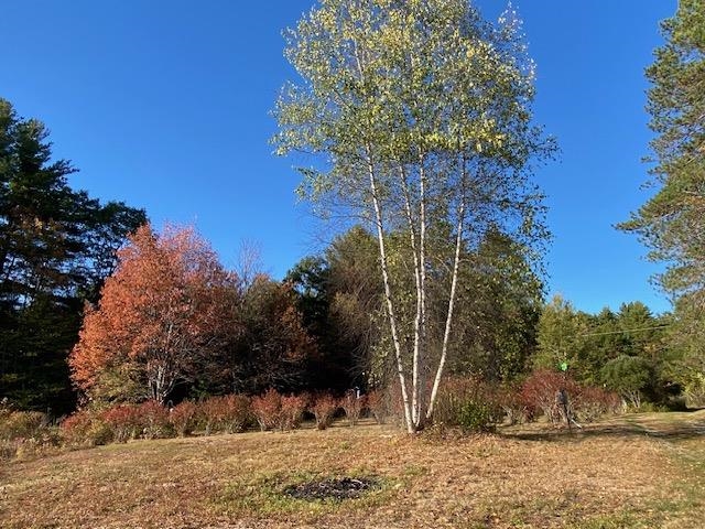 main property photo 18