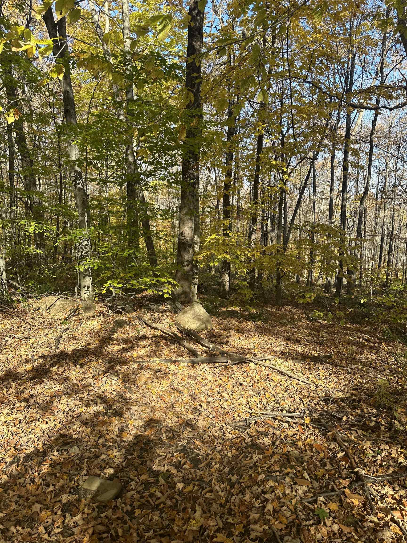 main property photo 13